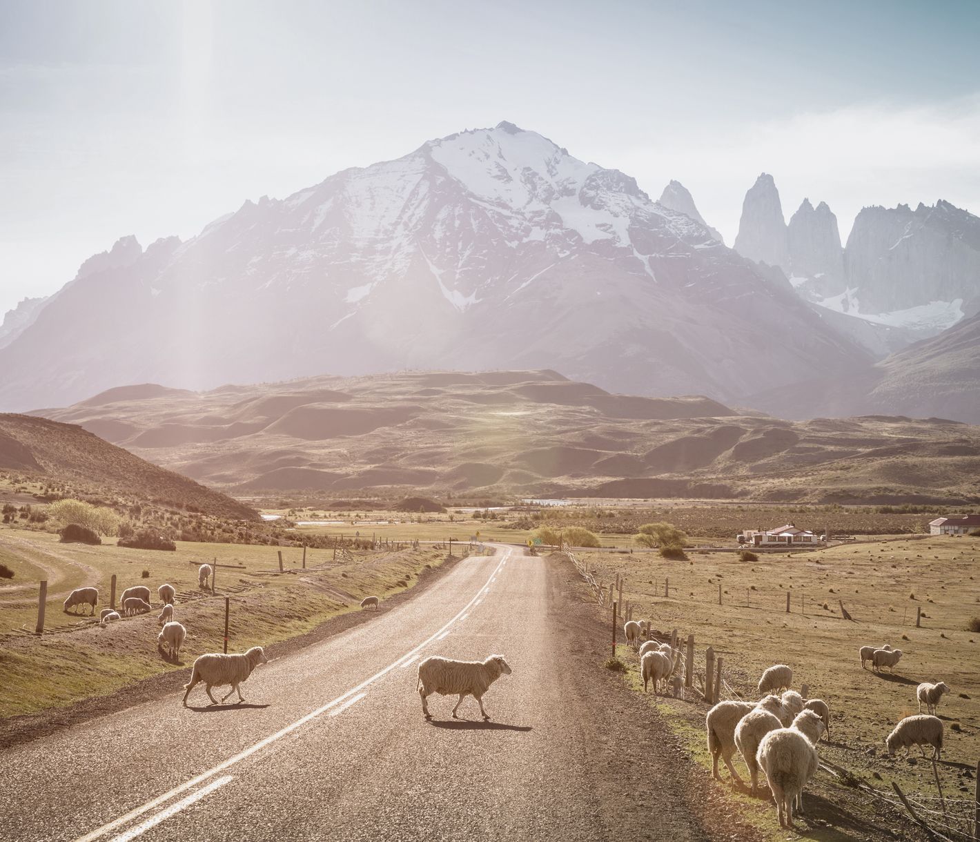 Unterwegs in Patagonien