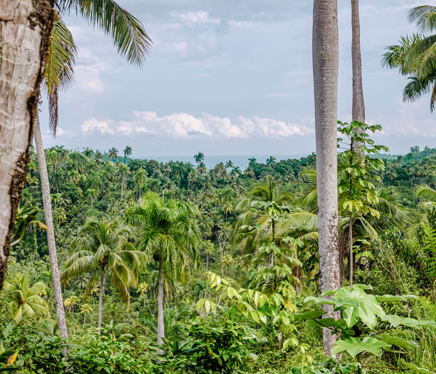 Das Naturparadies im Osten