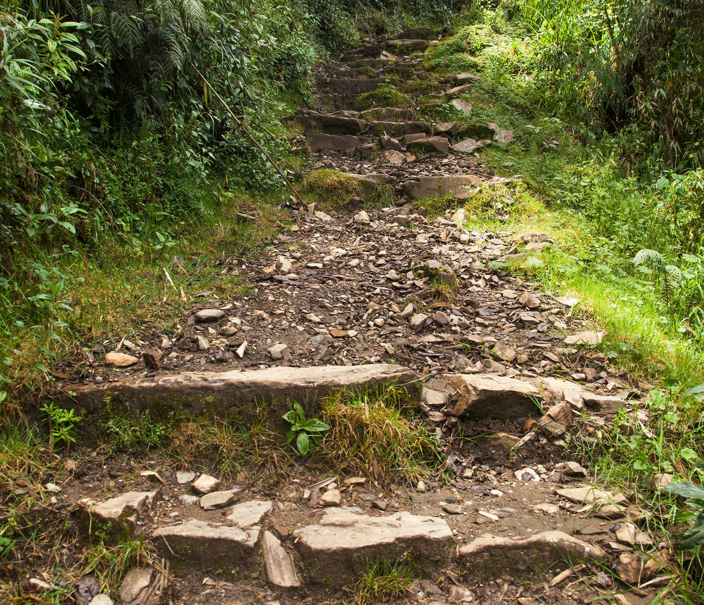 Der steinige Weg, der uns dem Ziel näher bringt.