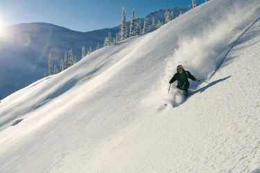 Bilder Simone Wild und Elias Ambühl (ZIP)