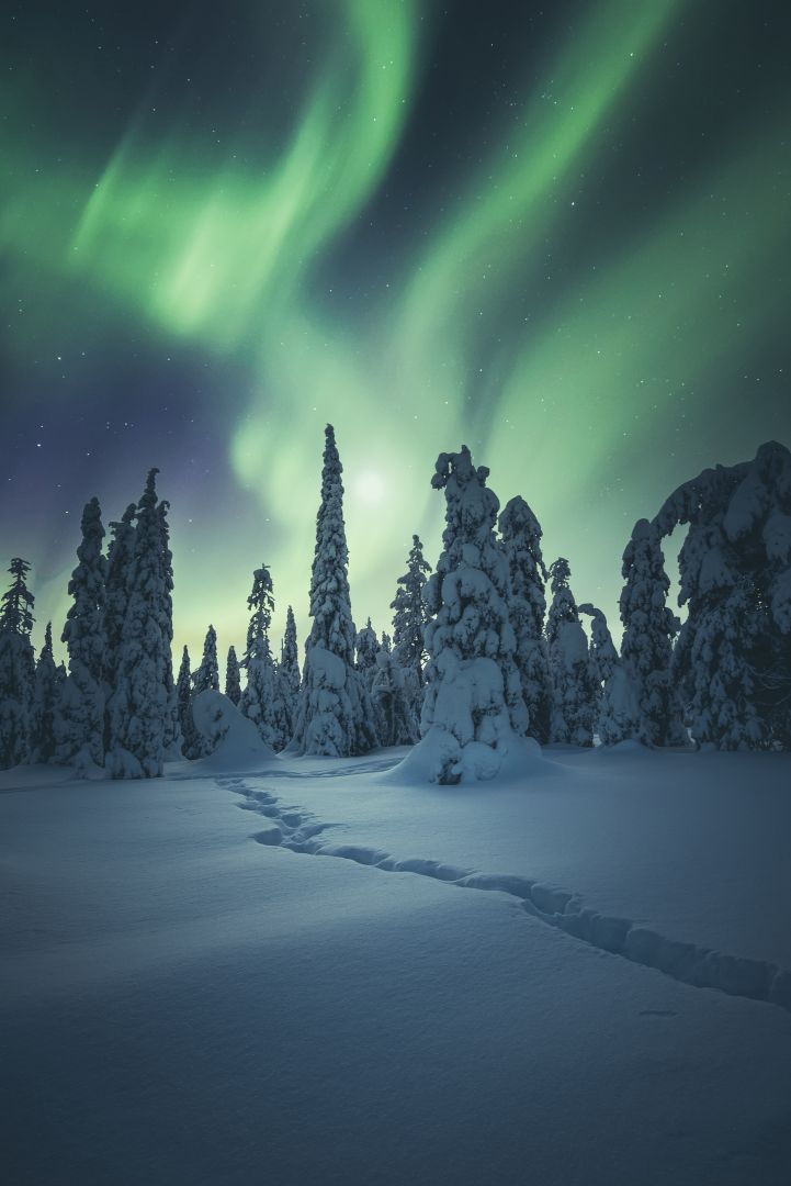 Ein eindrückliches Naturspektakel für Jung und Alt