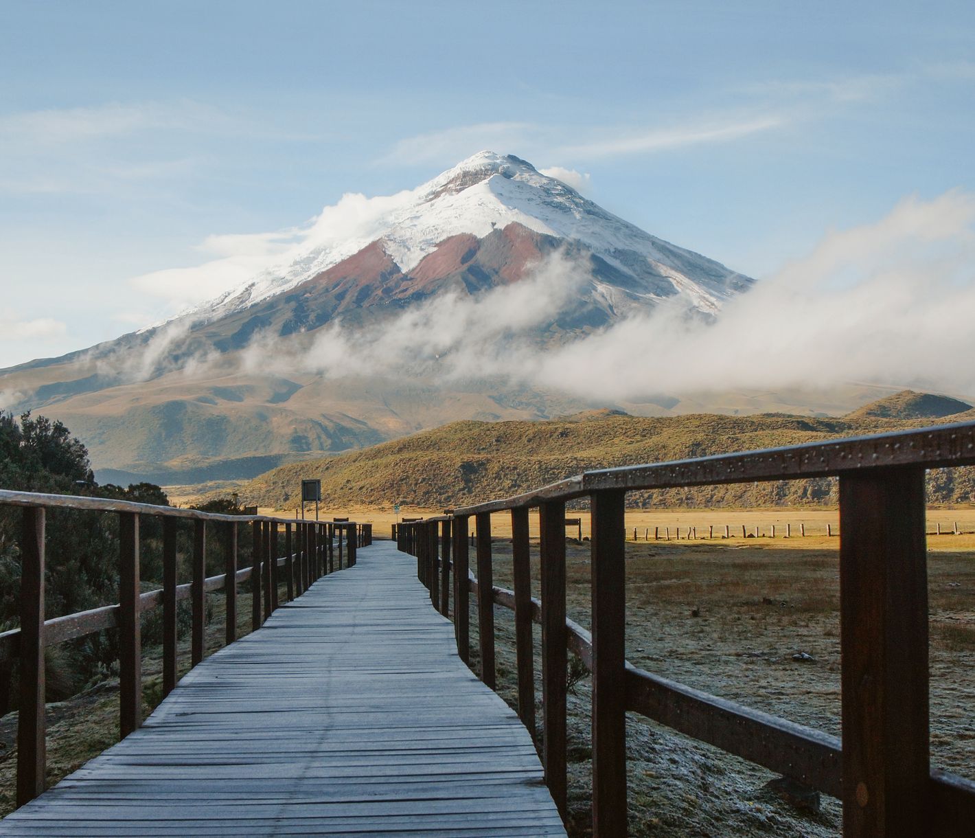 Blick auf das Herzstück des Nationalparks Cotopaxi