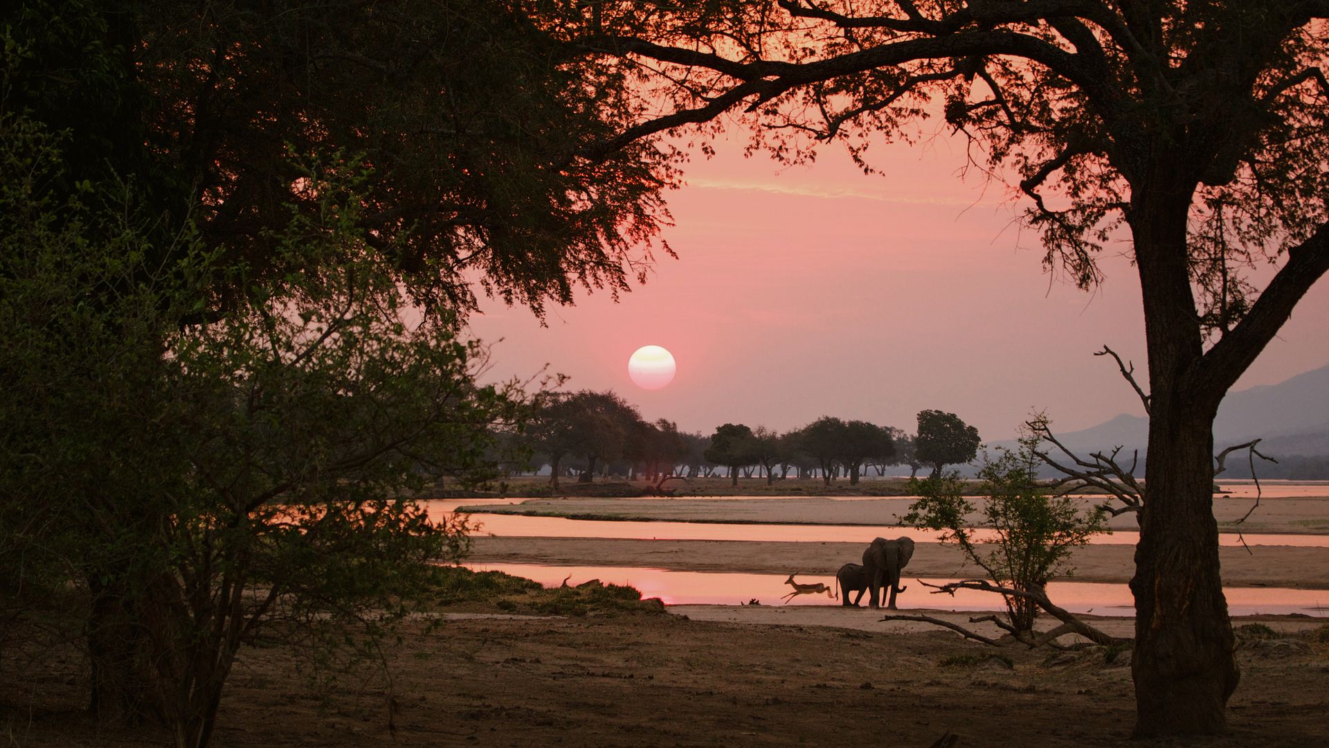 Rien de tel que d'apprécier la quiétude du coucher du soleil dans le parc de Mana Pools....
