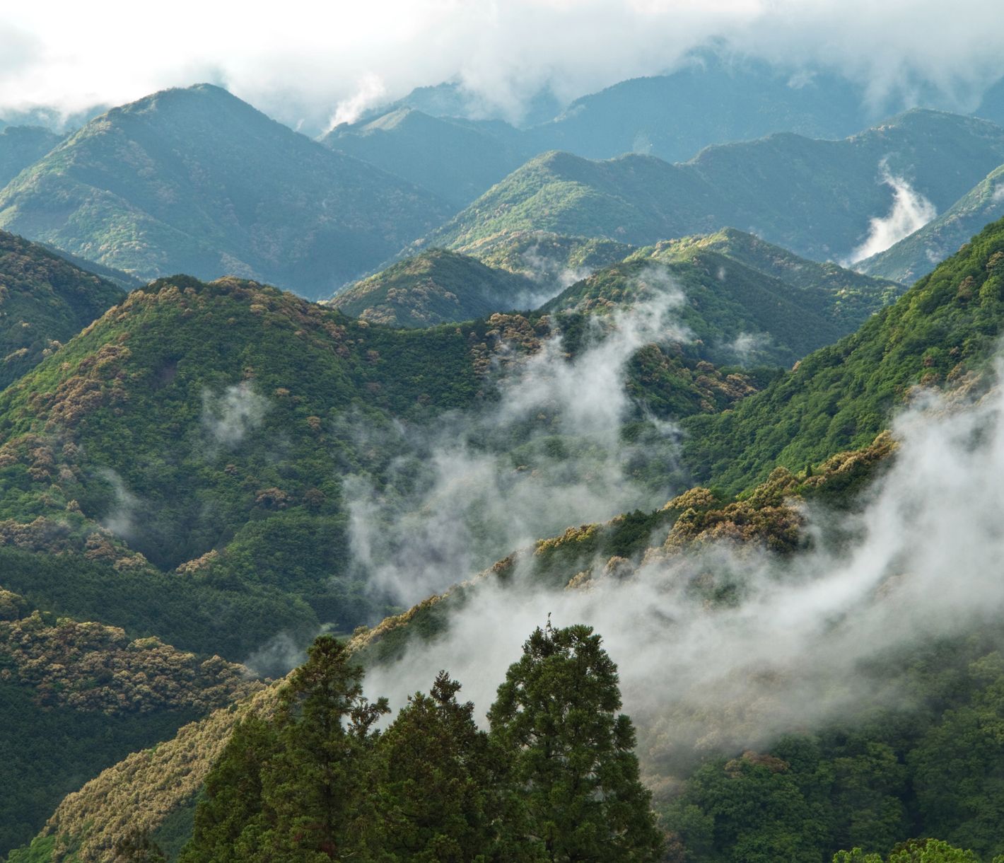 Die geheimnisvollen Kii-Berge