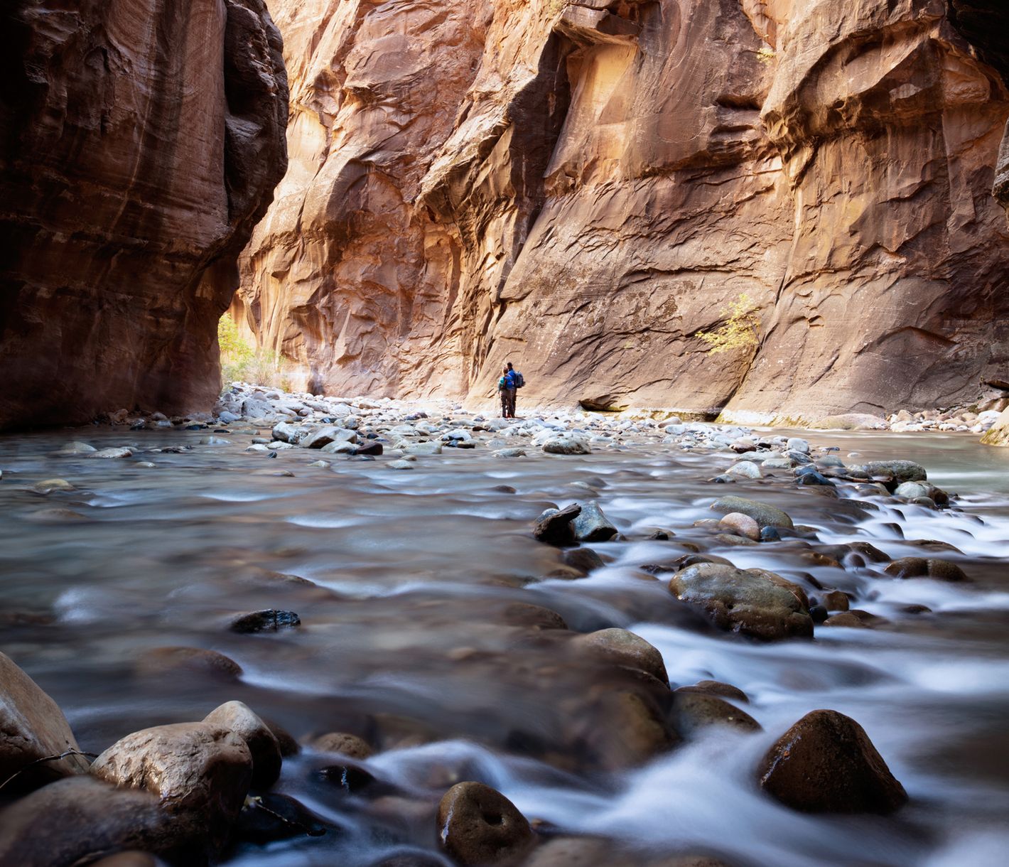 The Narrows Zion National Park