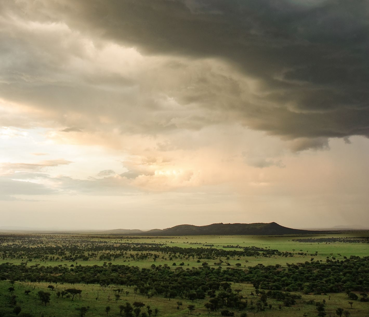Ein einmaliges Schauspiel: Gewitterzelle über der Serengeti