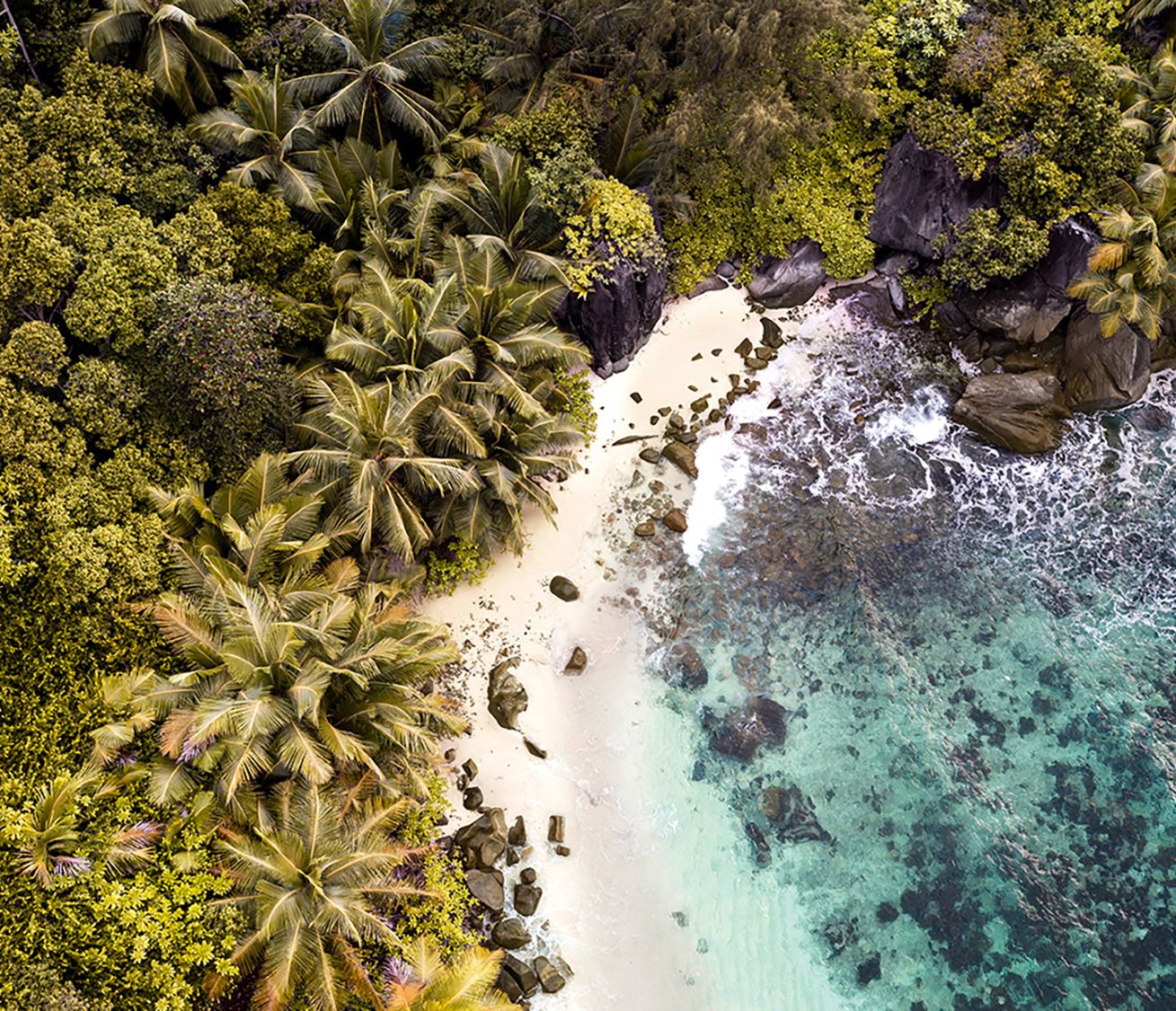 Unberührter Naturstrand im Constance Ephelia – pure Idylle auf Mahé