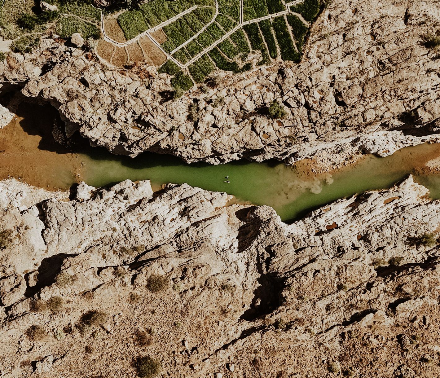 Wadi Tiwi – Das grüne Wunder Omans zwischen Palmen und Felswänden