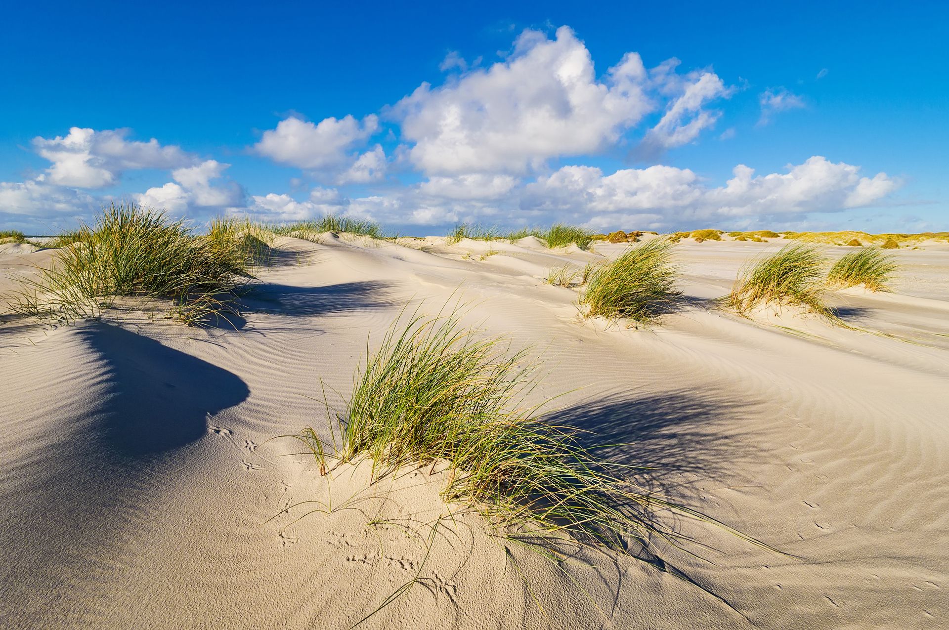 Dünenlandschaft auf Amrum