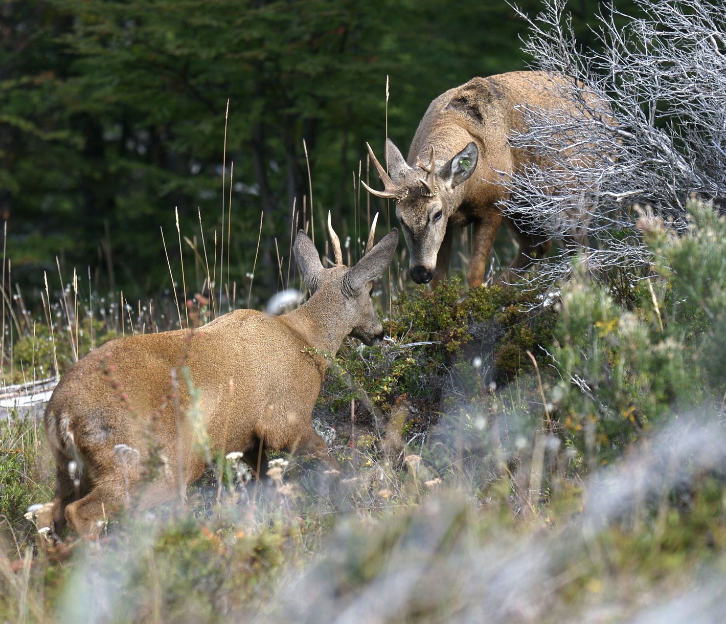 Mein Tanzbereich – dein Tanzbereich