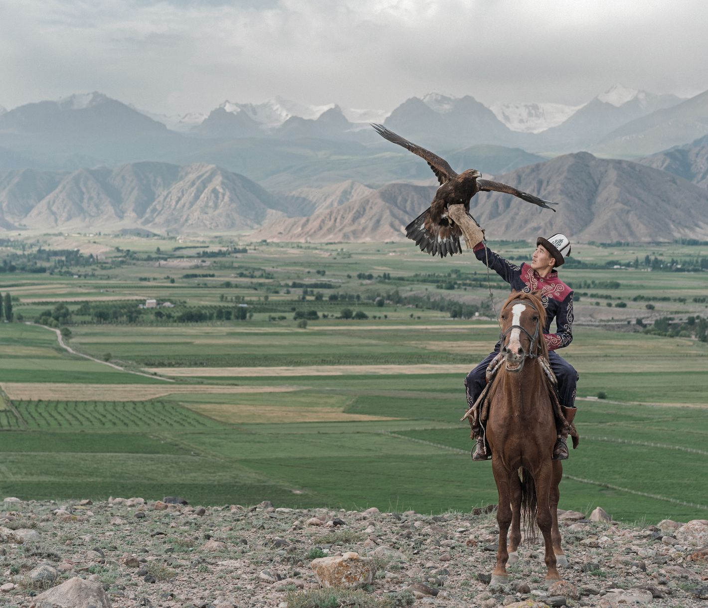 La fauconnerie, un art pratiqué depuis des siècles sur les hauts-plateaux d’Asie Centrale !
