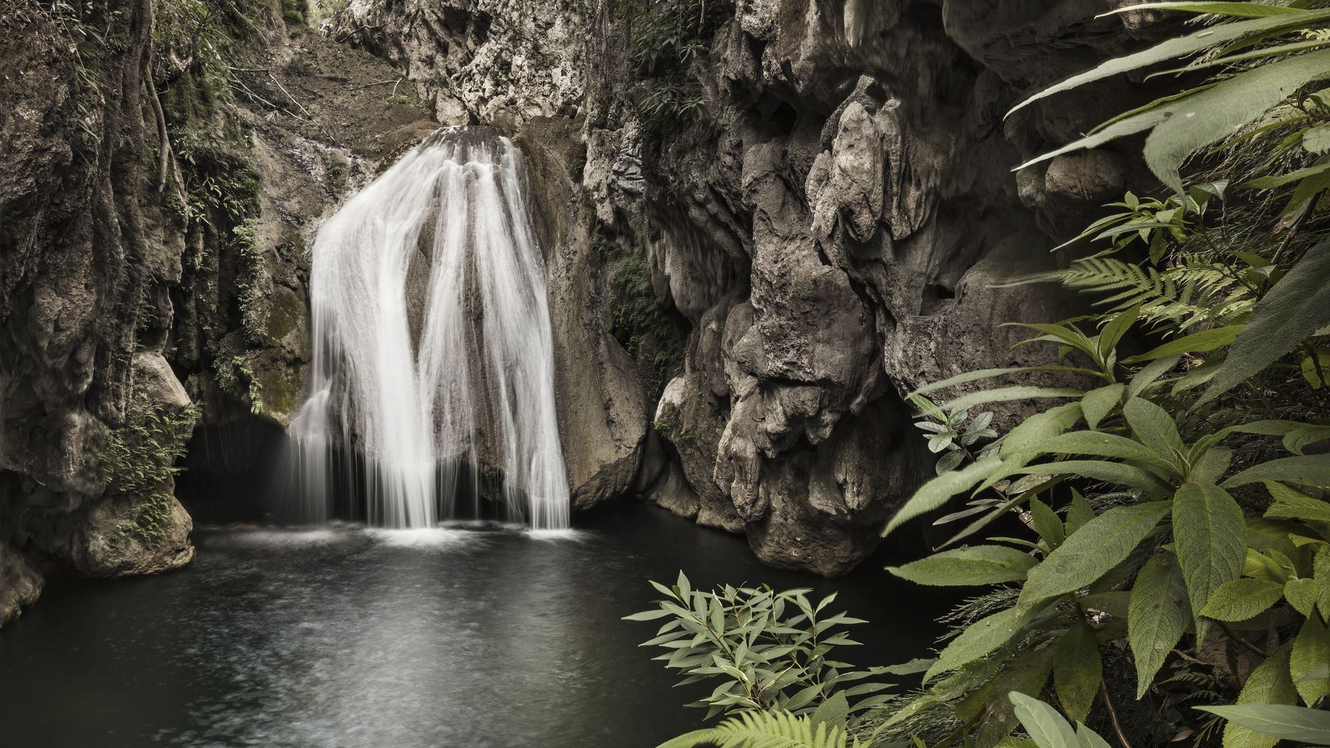 Bouffée d’oxygène au coeur de la nature luxuriante du parc El Cubano