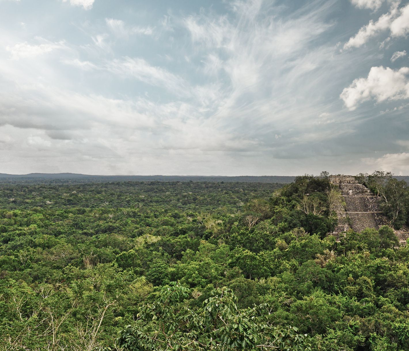 Ausblick von der Maya-Pyramide in Calakmul über den Dschungel nach Guatemala