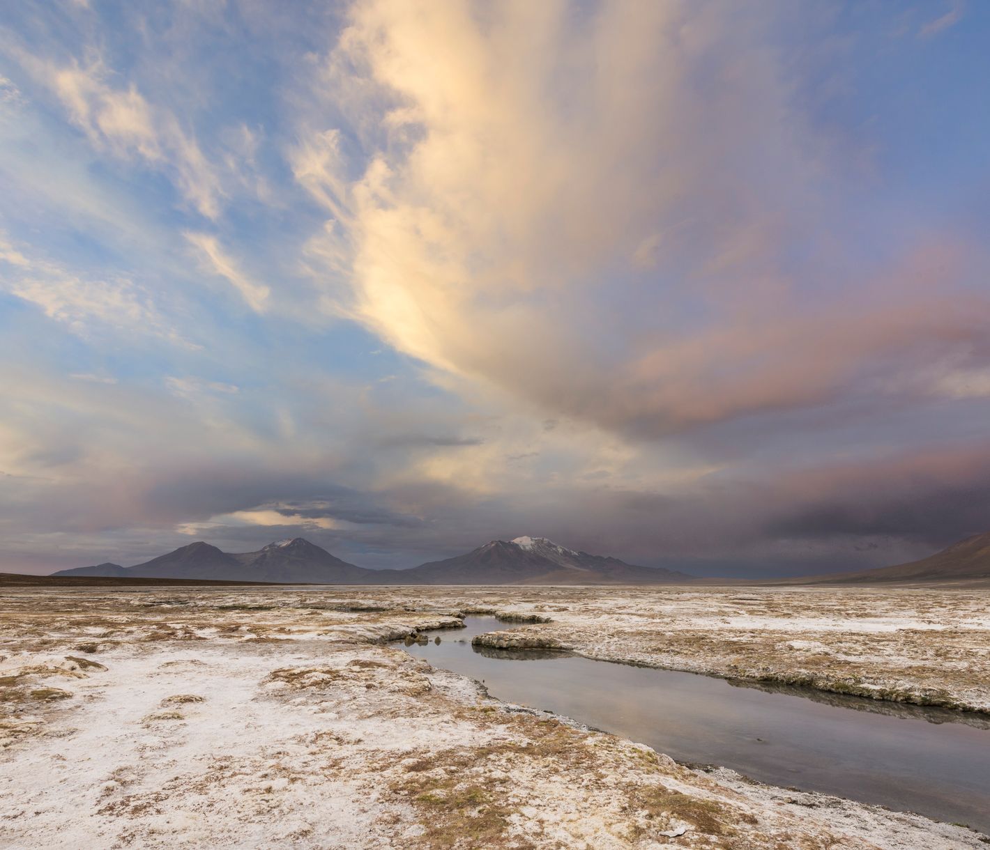 Auch der Salar de Surire ist ein echtes Naturspektakel. Surir bedeutet in der Sprache der Einheimischen Ñandu.