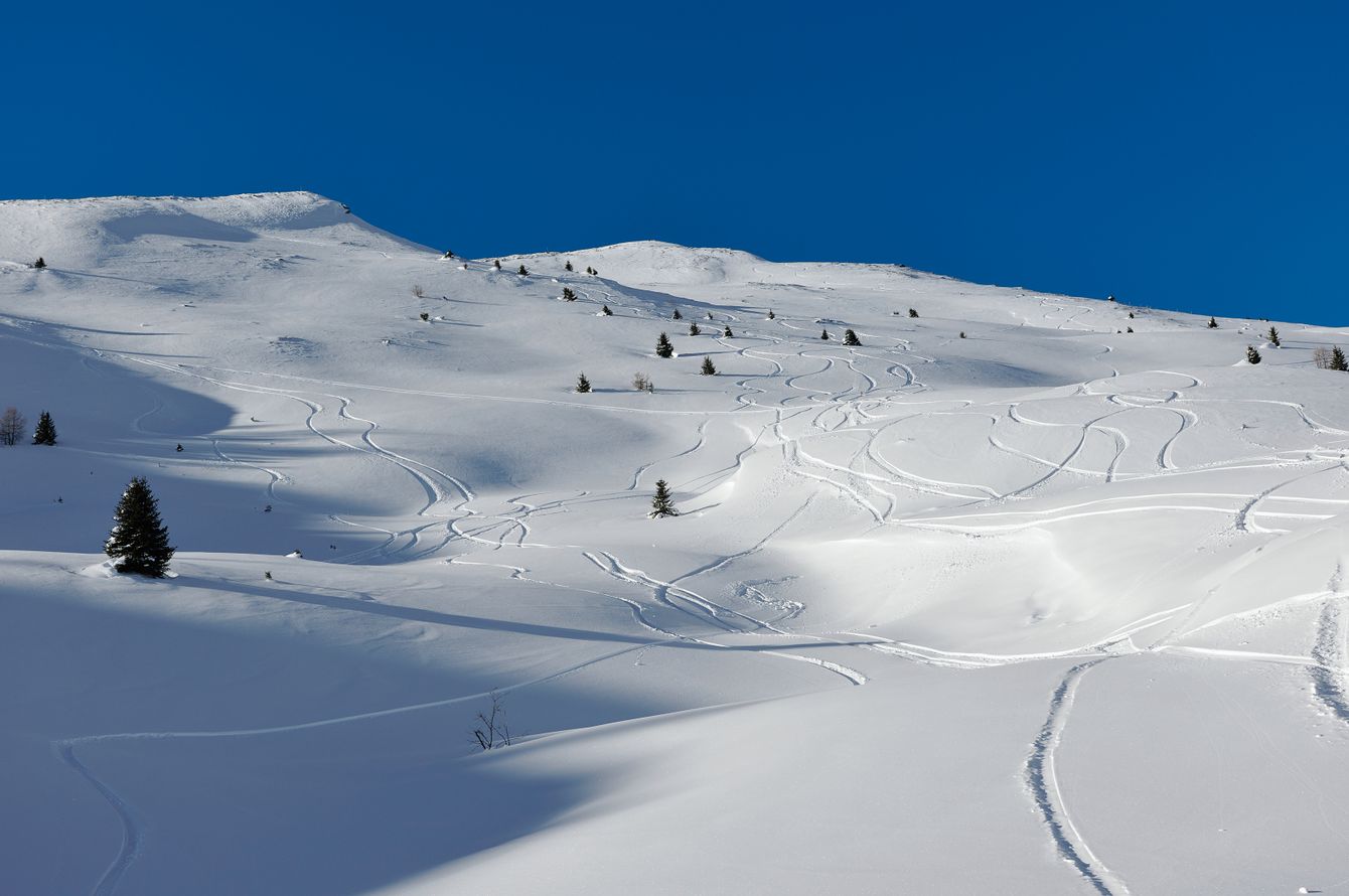 Paysage de d'hiver