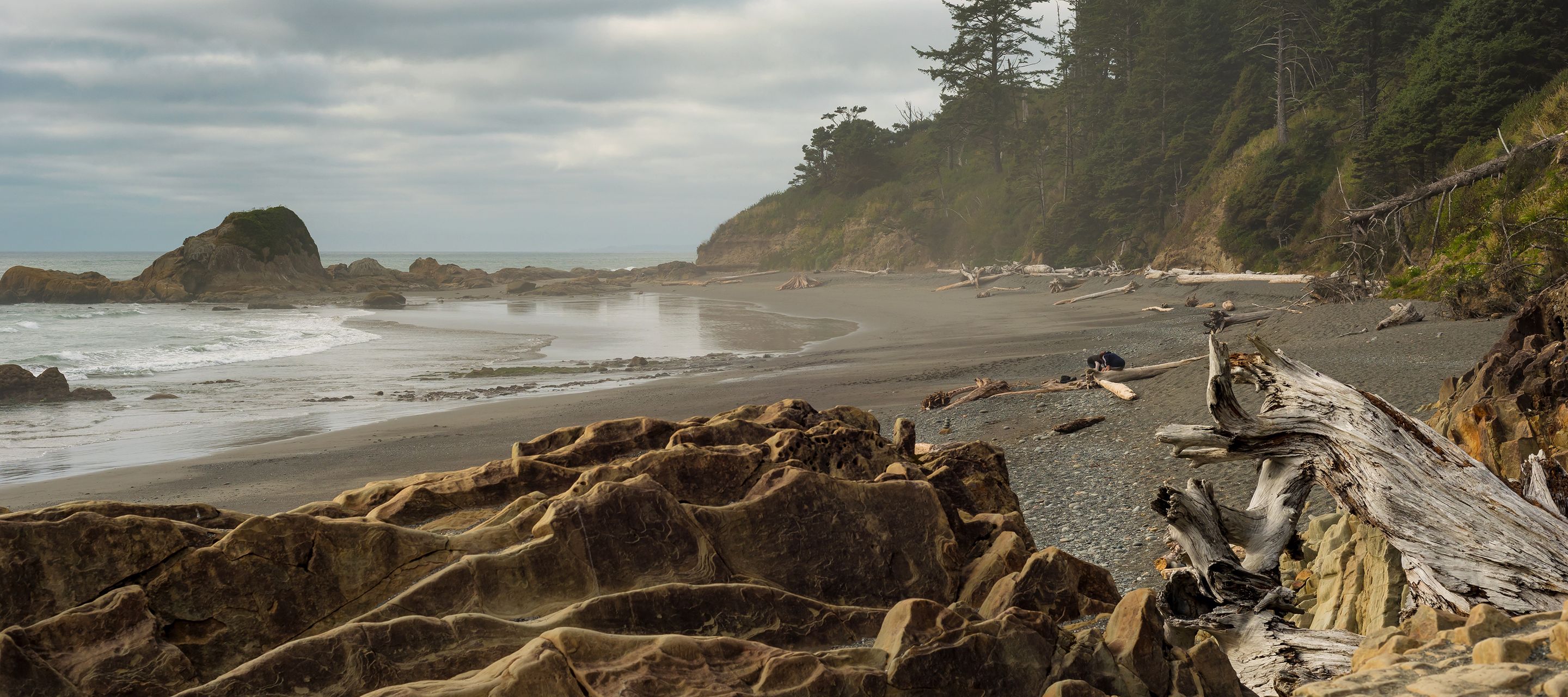 Am Kalaloch Beach ist die wilde, wundersame Schönheit der Küste des Olympic National Parks zu spüren.