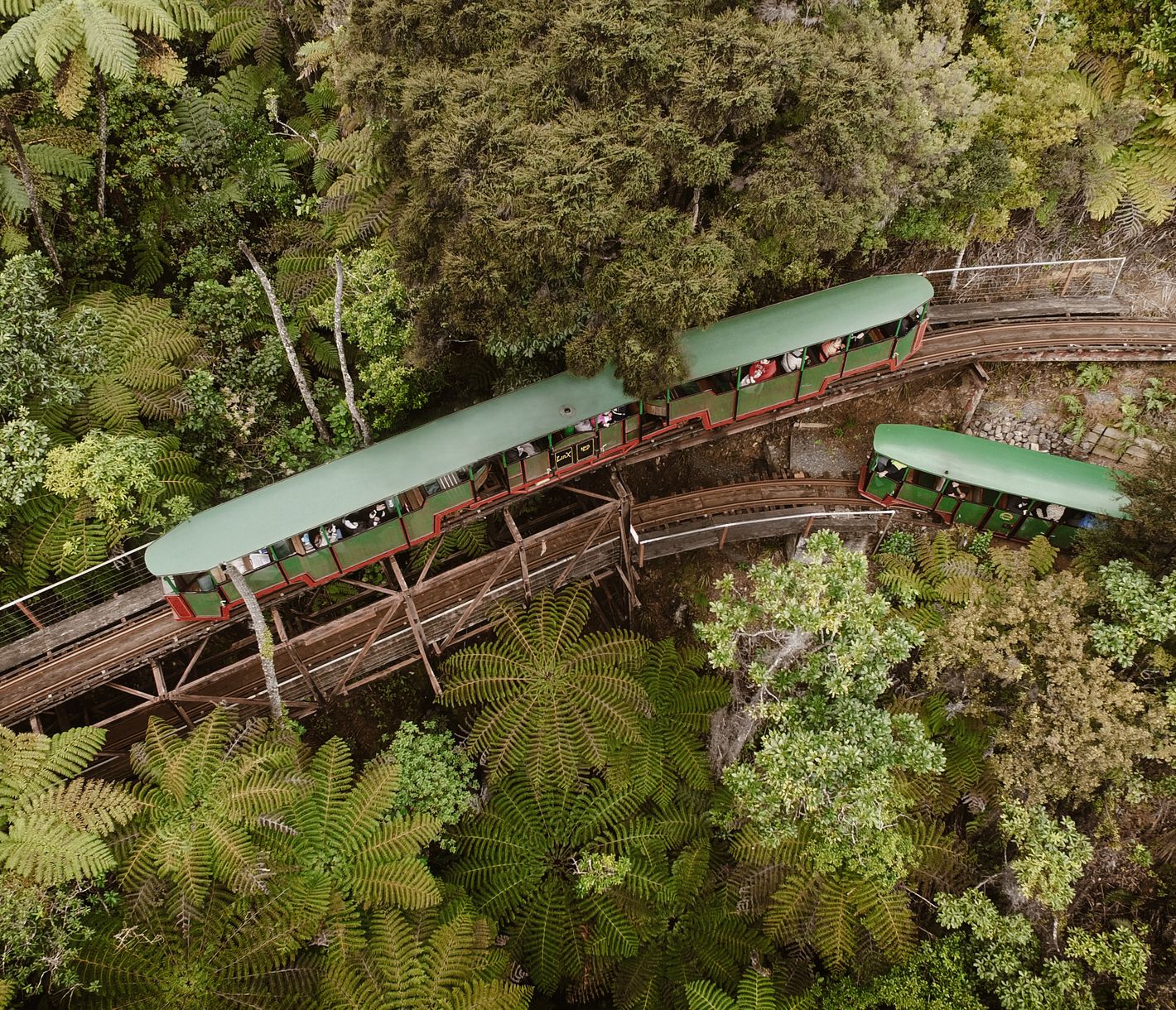 Driving Creek Railway