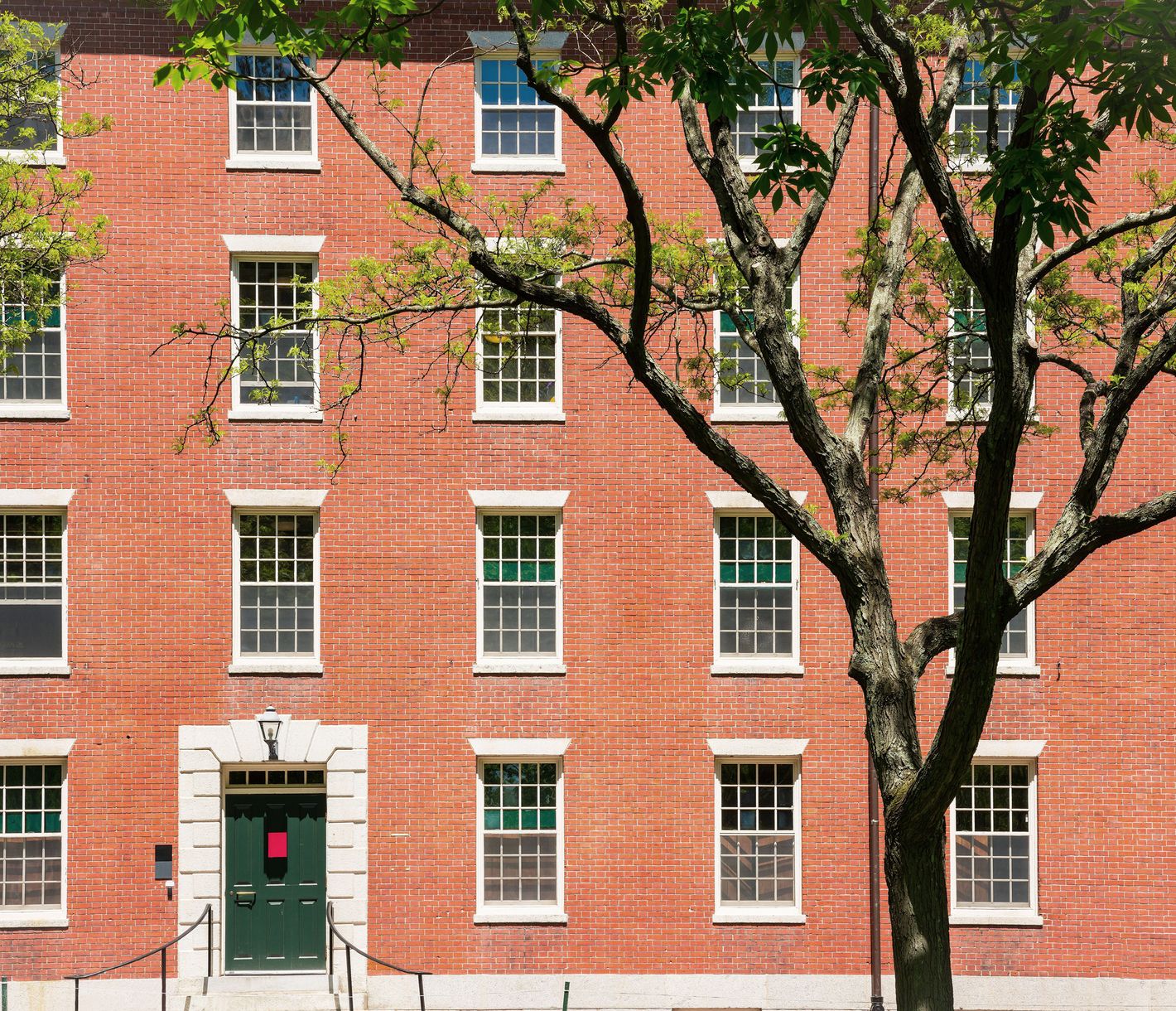 Dans ces maisons en briques du campus de Harvard, les étudiants se reposent de leurs cours.