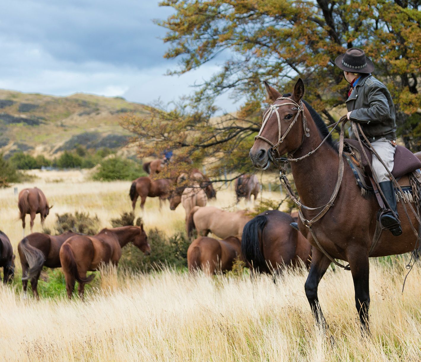 Patagonischer Gaucho
