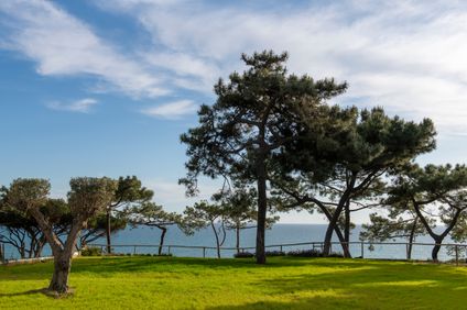 5. Bild der Unterkunft