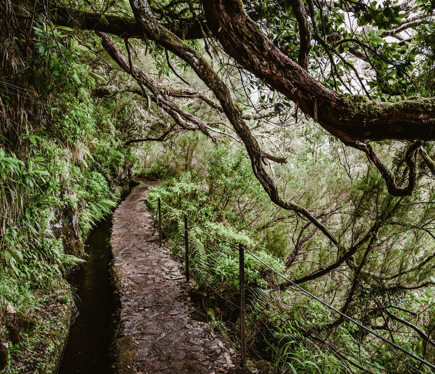Die Levada do Caldeirão Verde