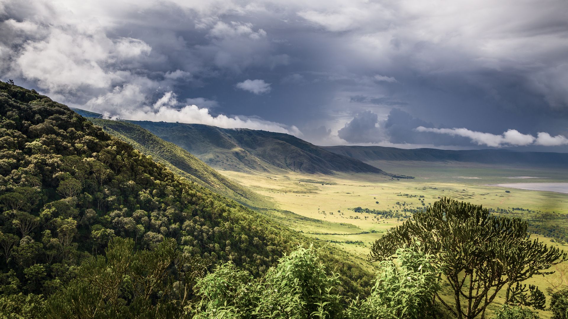 Apercevez-vous au loin, tous petits, les troupeaux de buffles ?