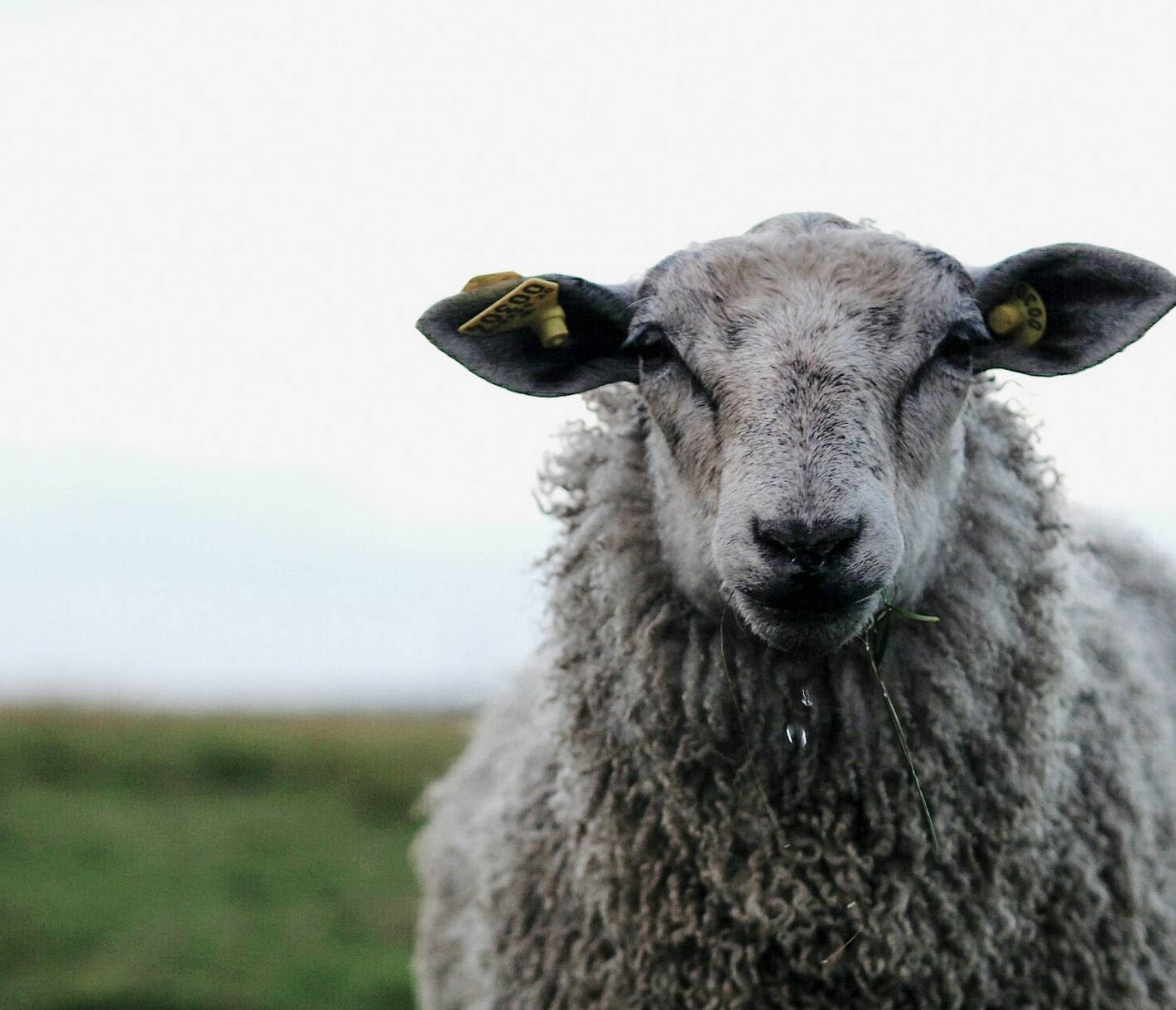 Ländliches Dänemark