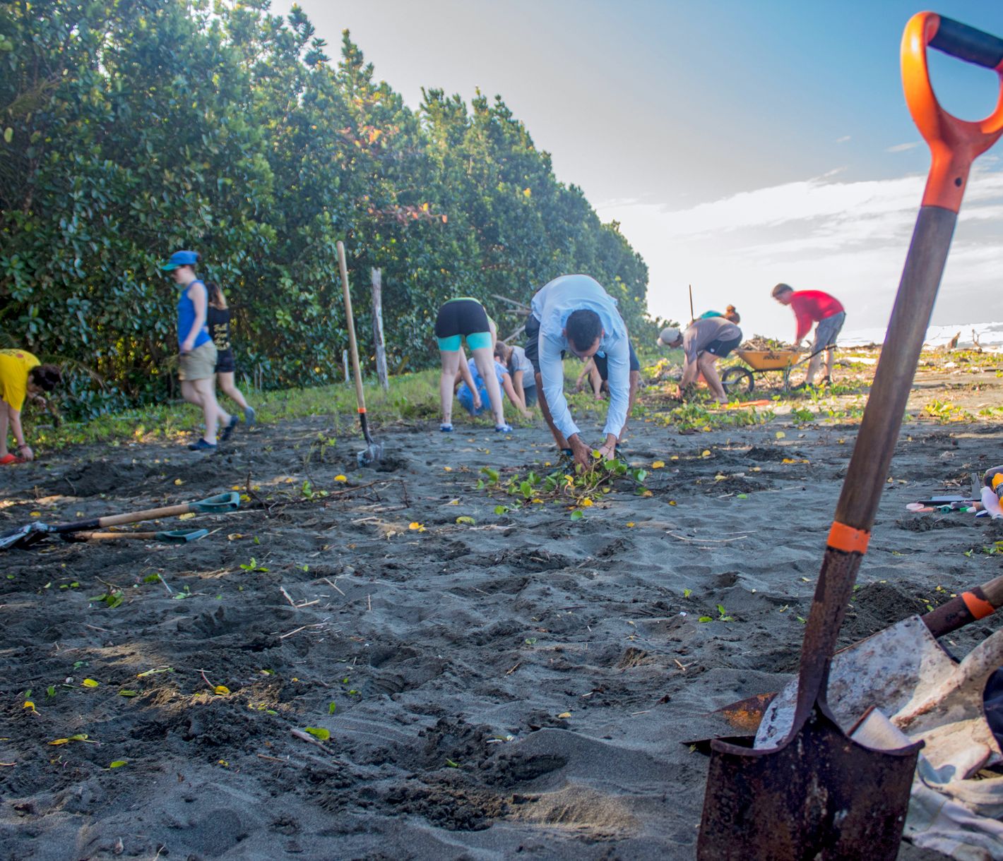 Freiwilligenarbeit im Pacuare Reserve
