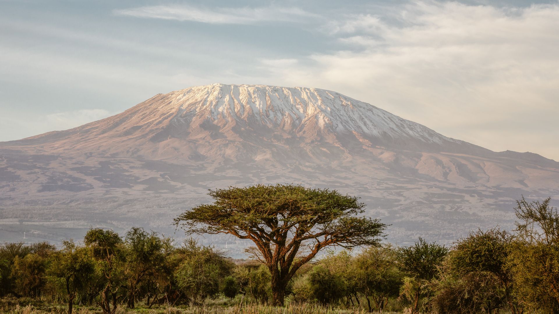 Der Kilimandscharo dominiert die weiten Ebenen beim Amboseli-Nationalpark.