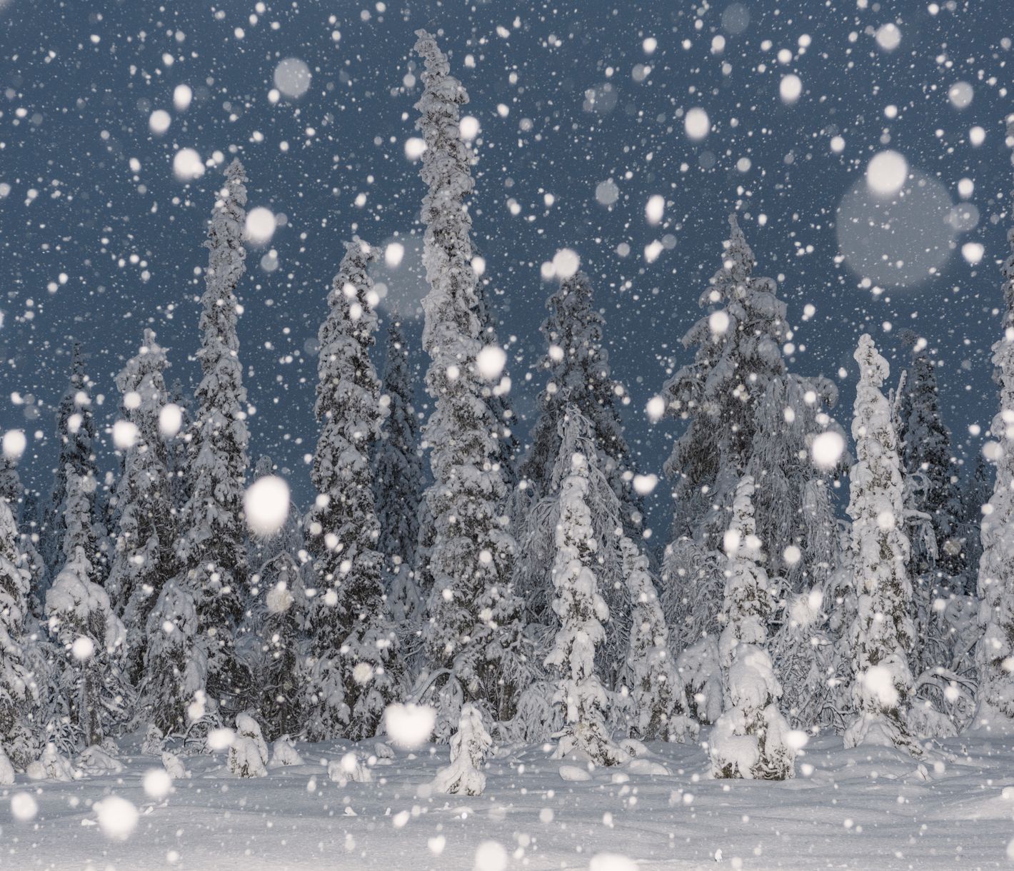 Schneefall in Lappland