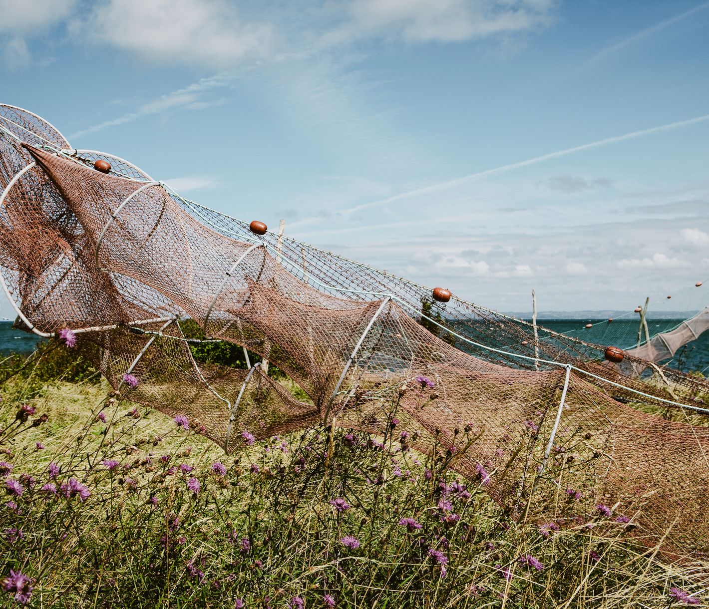 Kullaberg und Kullaleden auf der Kullen-Halbinsel