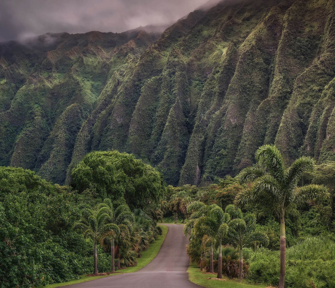 Grün soweit das Auge reicht im Ho'omaluhia Botanical Garden