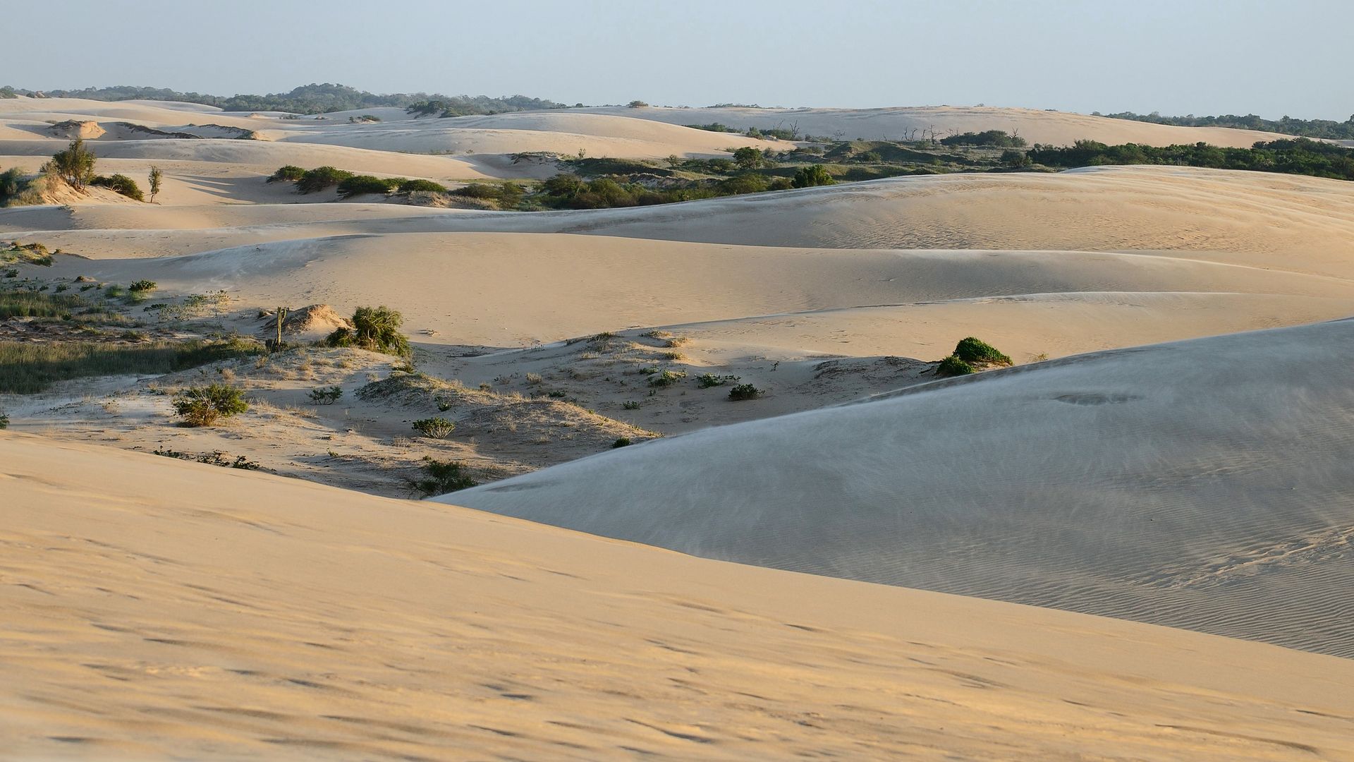 Lomas de Arenas : à seulement 12 km au sud de la ville de Santa Cruz, ce parc vous plonge tout de suite dans un autre monde !