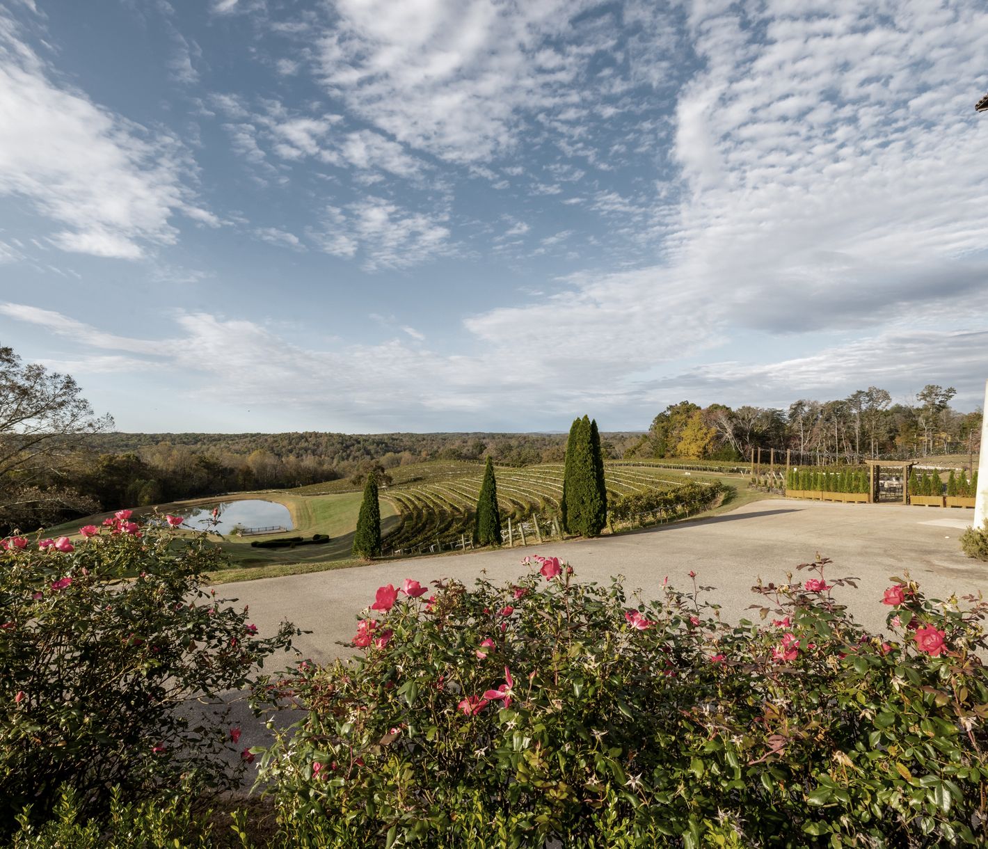 Die Montaluce Winery in der Nähe von Dahlonega ist für Weinkenner interessant.
