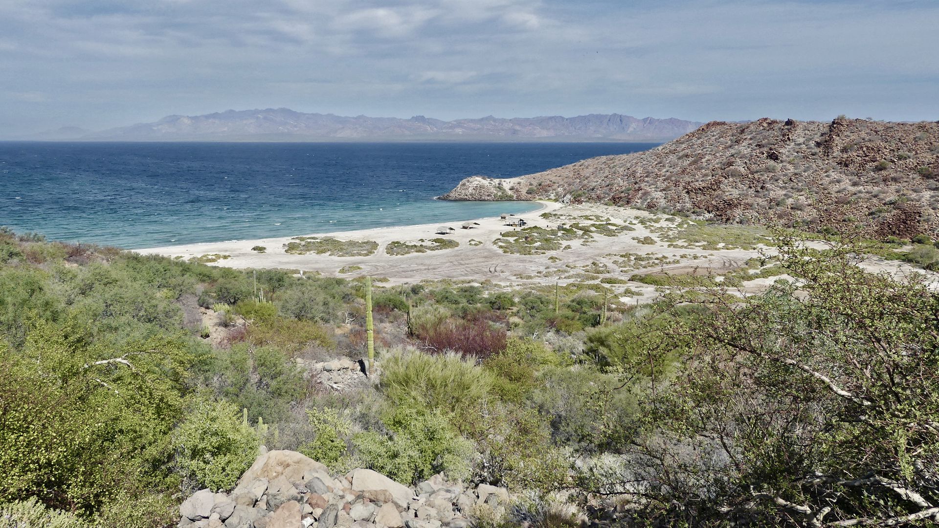 Au fil de la superbe Bahía Concepción, entre mer et désert