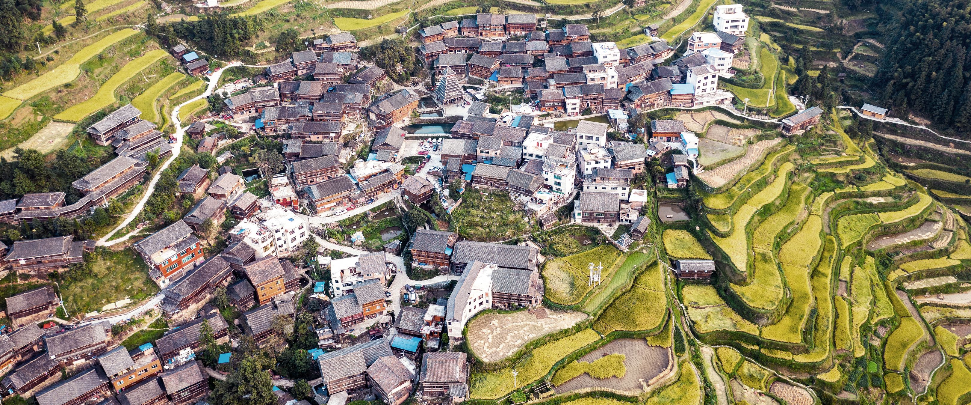In den terrassierten Hängen von Longji wird seit Jahrhunderten Reis angepflanzt.