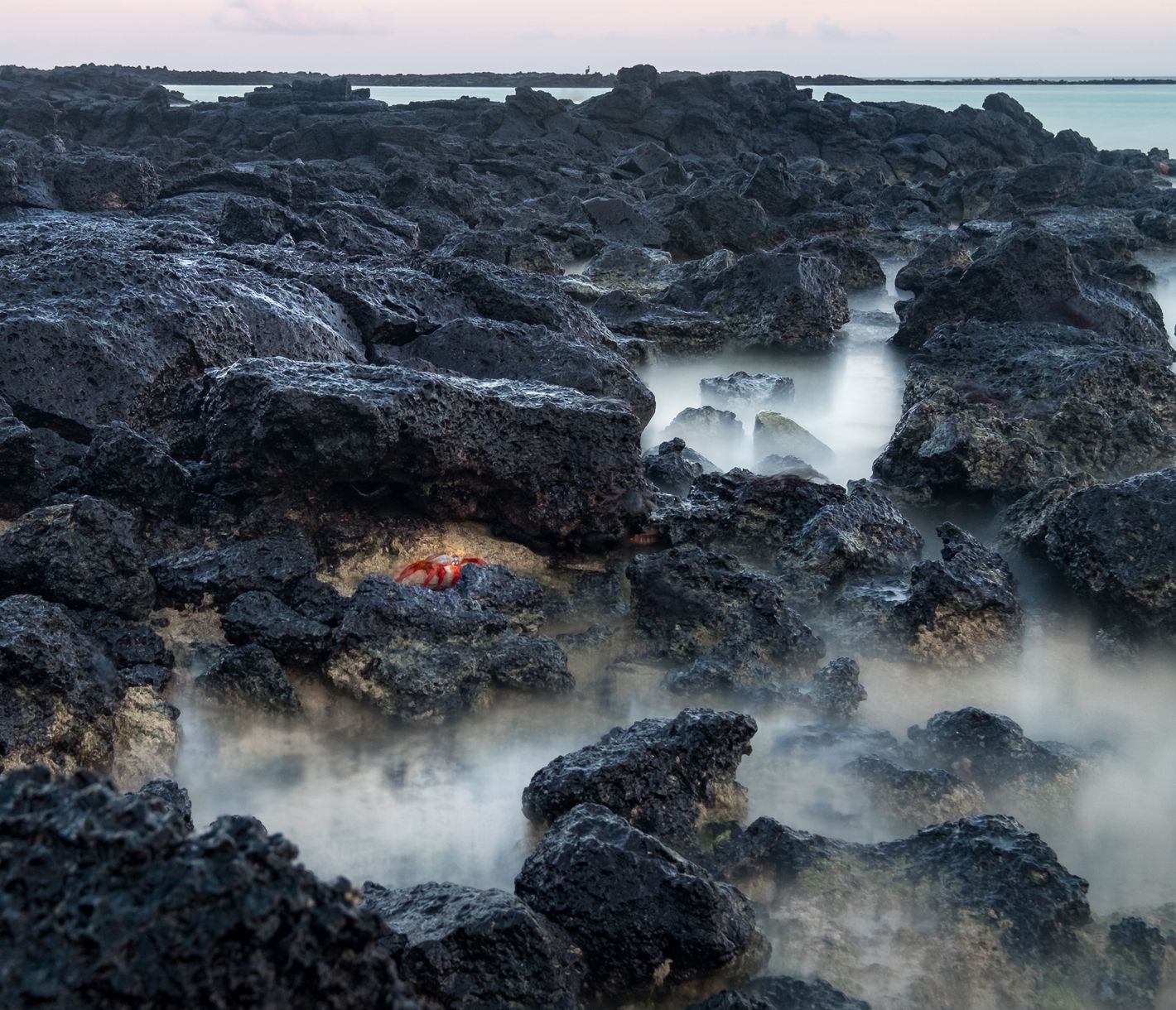 Was krabbelt denn da?