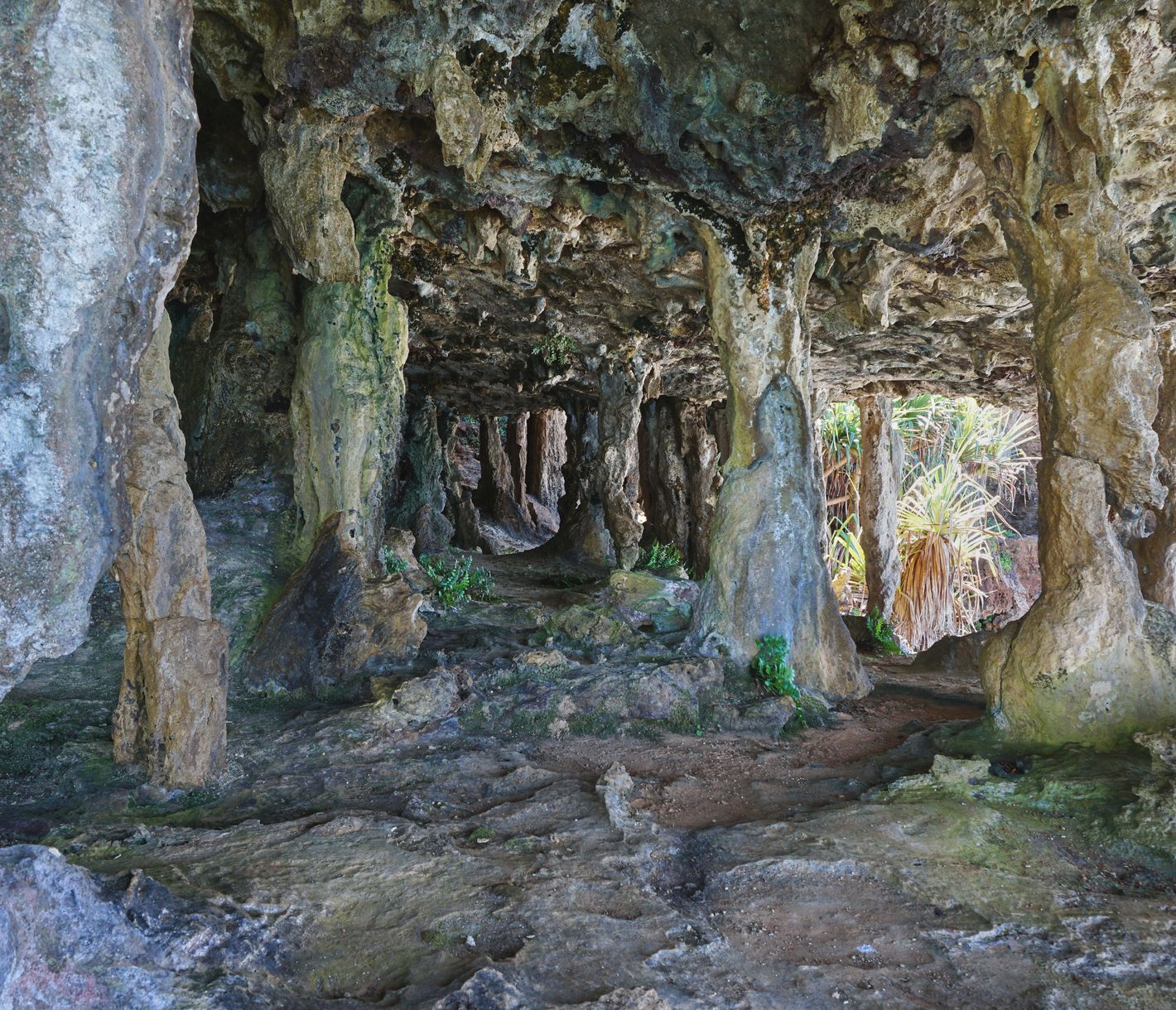 Im Innern des «Monsters»