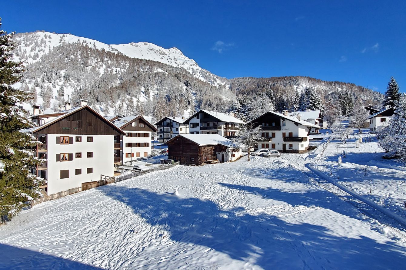 Hotel Stella Alpina
