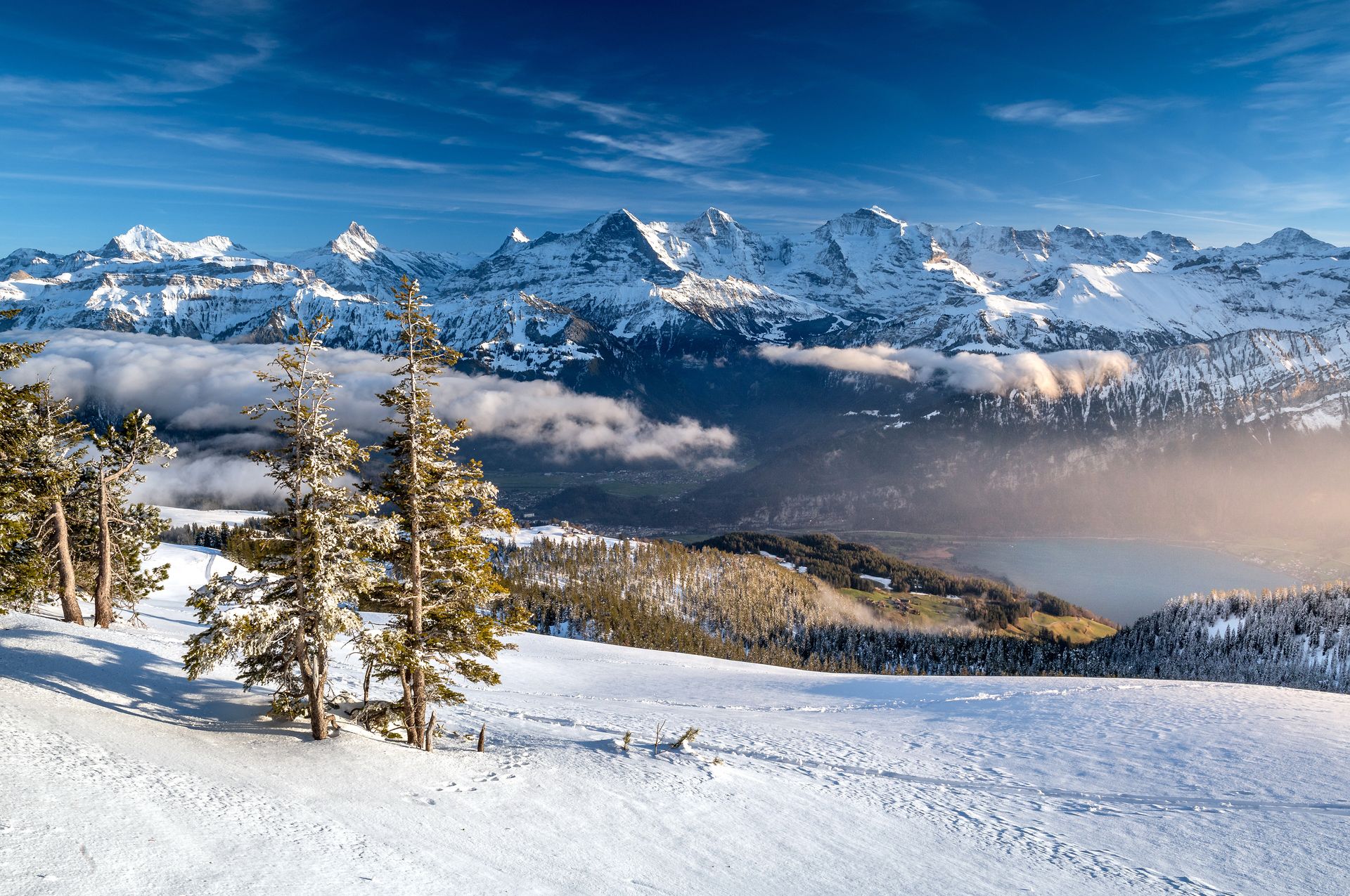 Thunersee im Winter