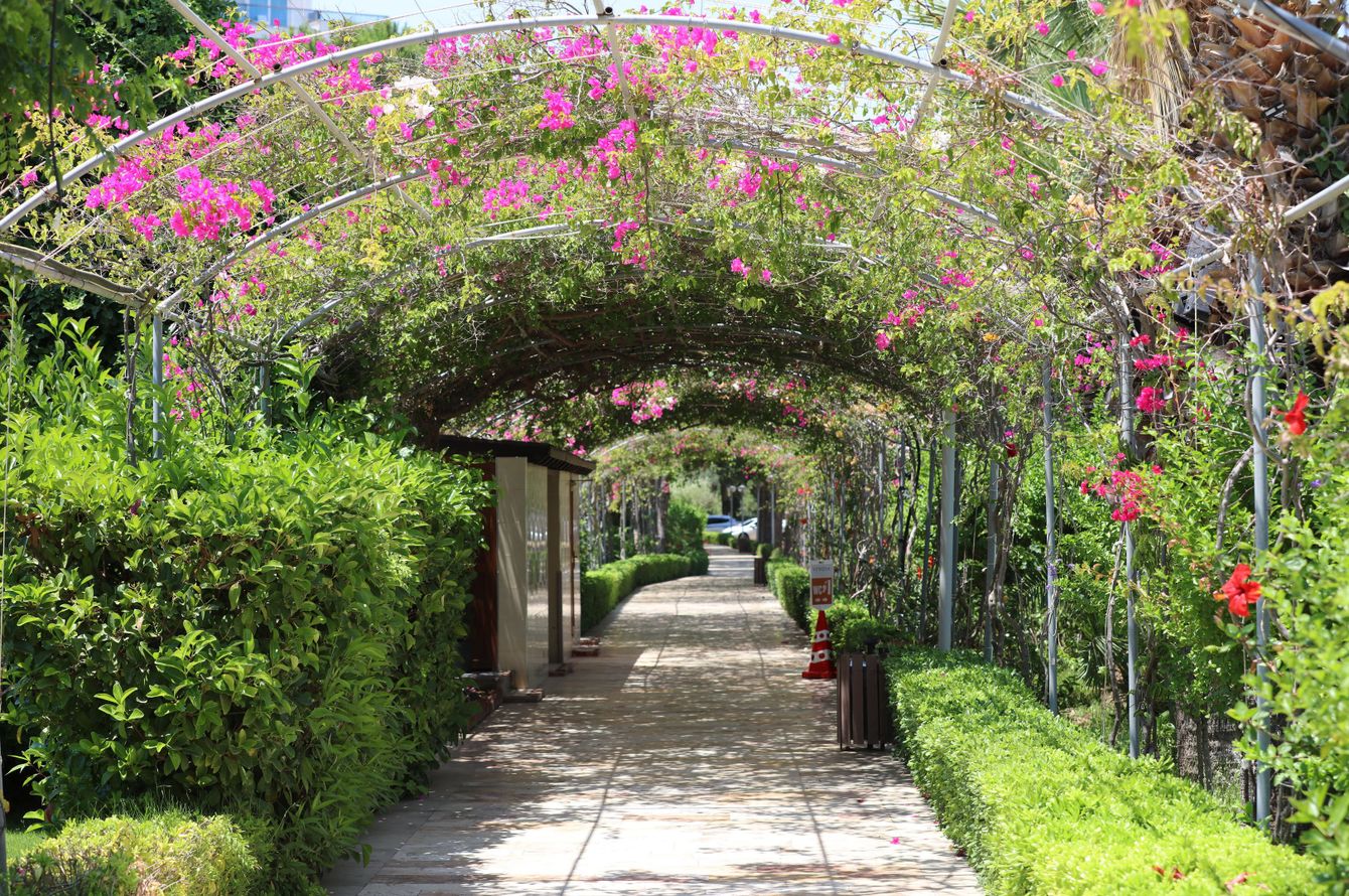 Jardin