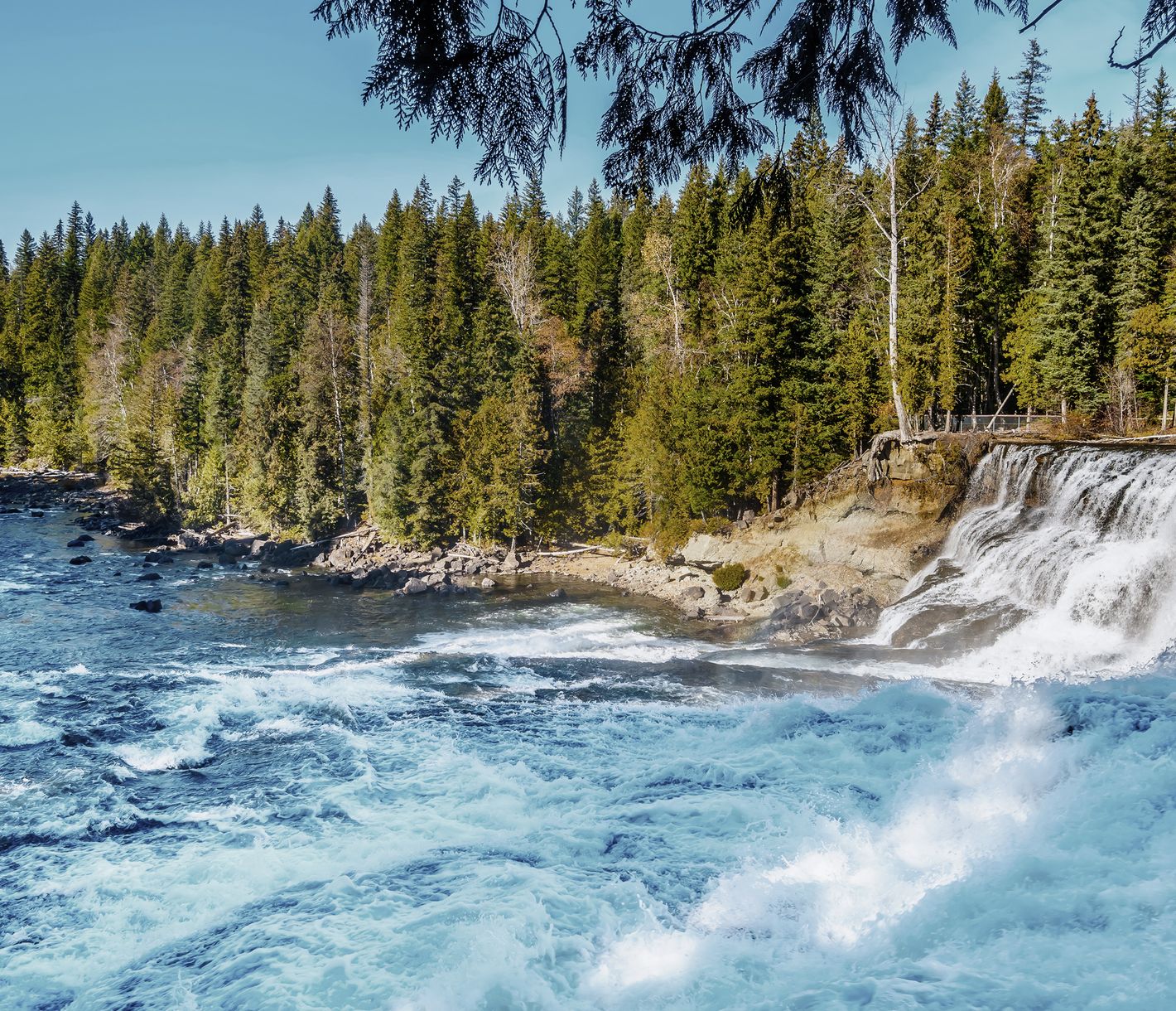 Dawson Falls Wells Gray