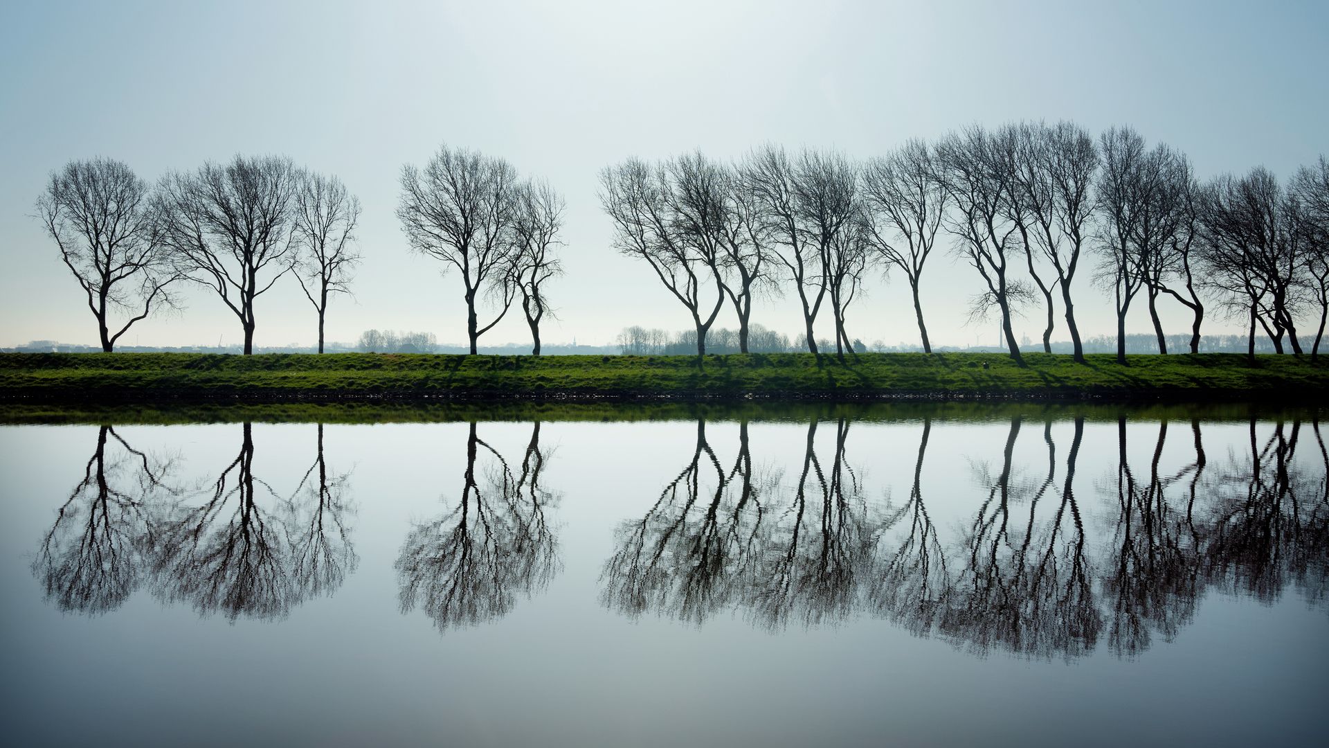 Arbres longeant le canal de la ville de Middelbourg, Zélande