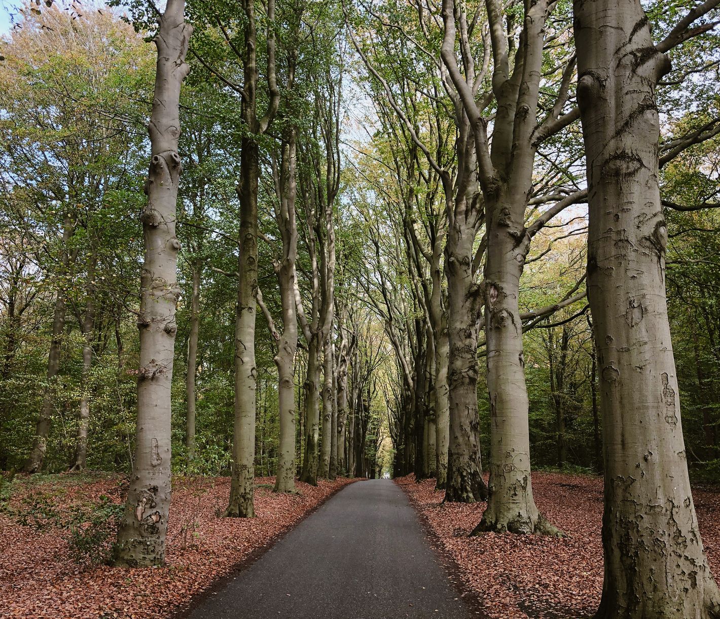 Natur und Idylle in Gaasterland