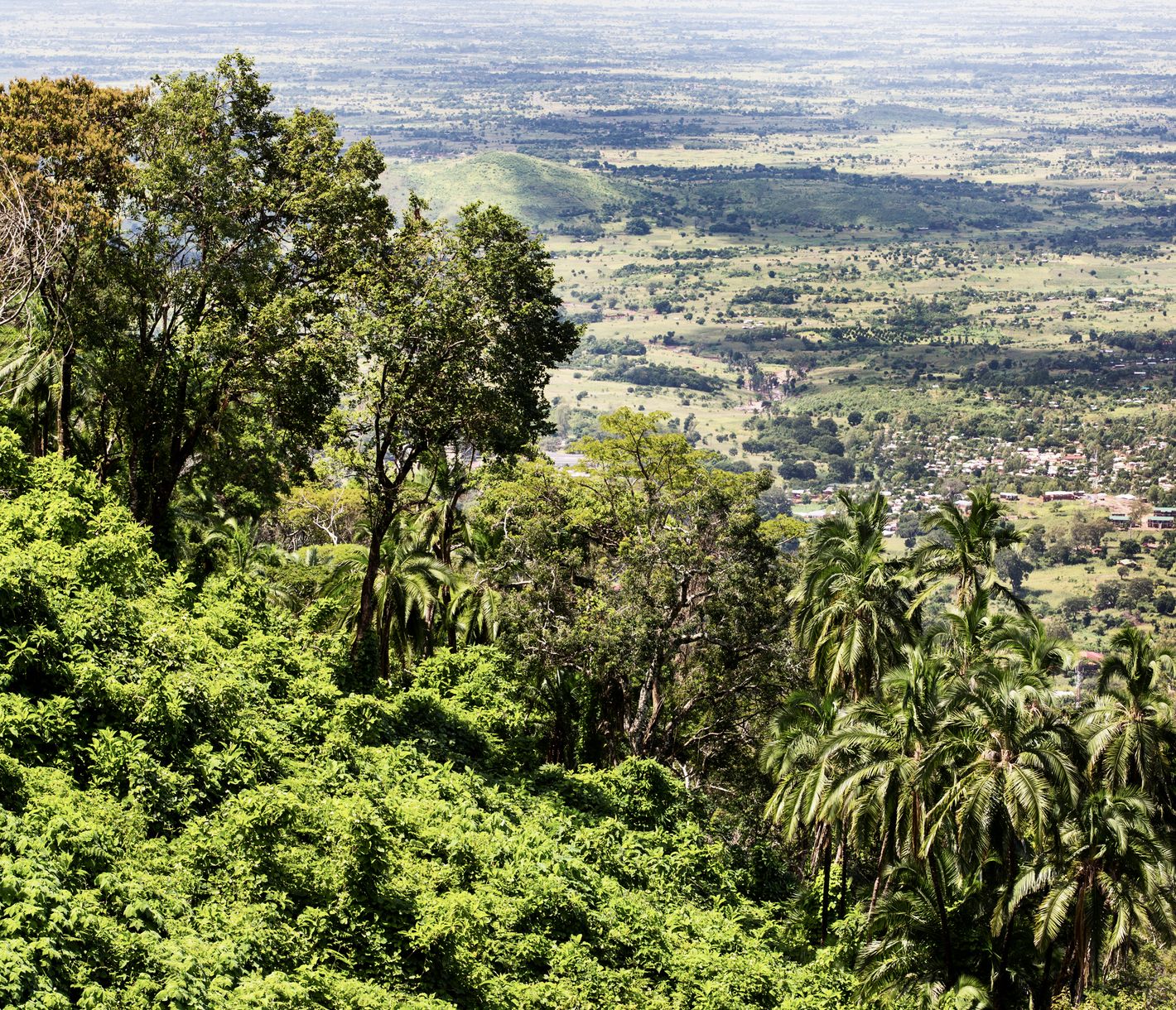 Ausblick vom Zomba-Plateau auf die gleichnamige Stadt