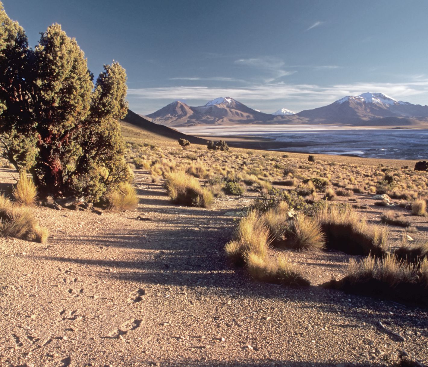Faszinierende Wüstenlandschaft im Altiplano