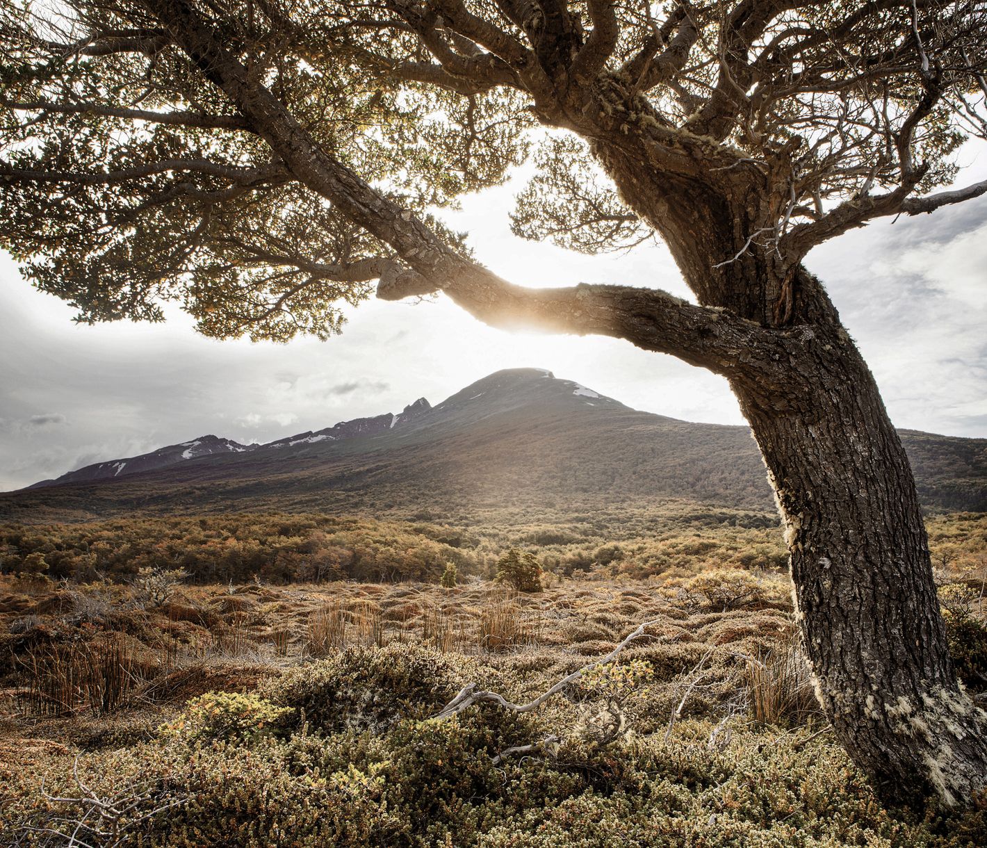La mythique Terre de Feu, entre légendes et nature sauvage