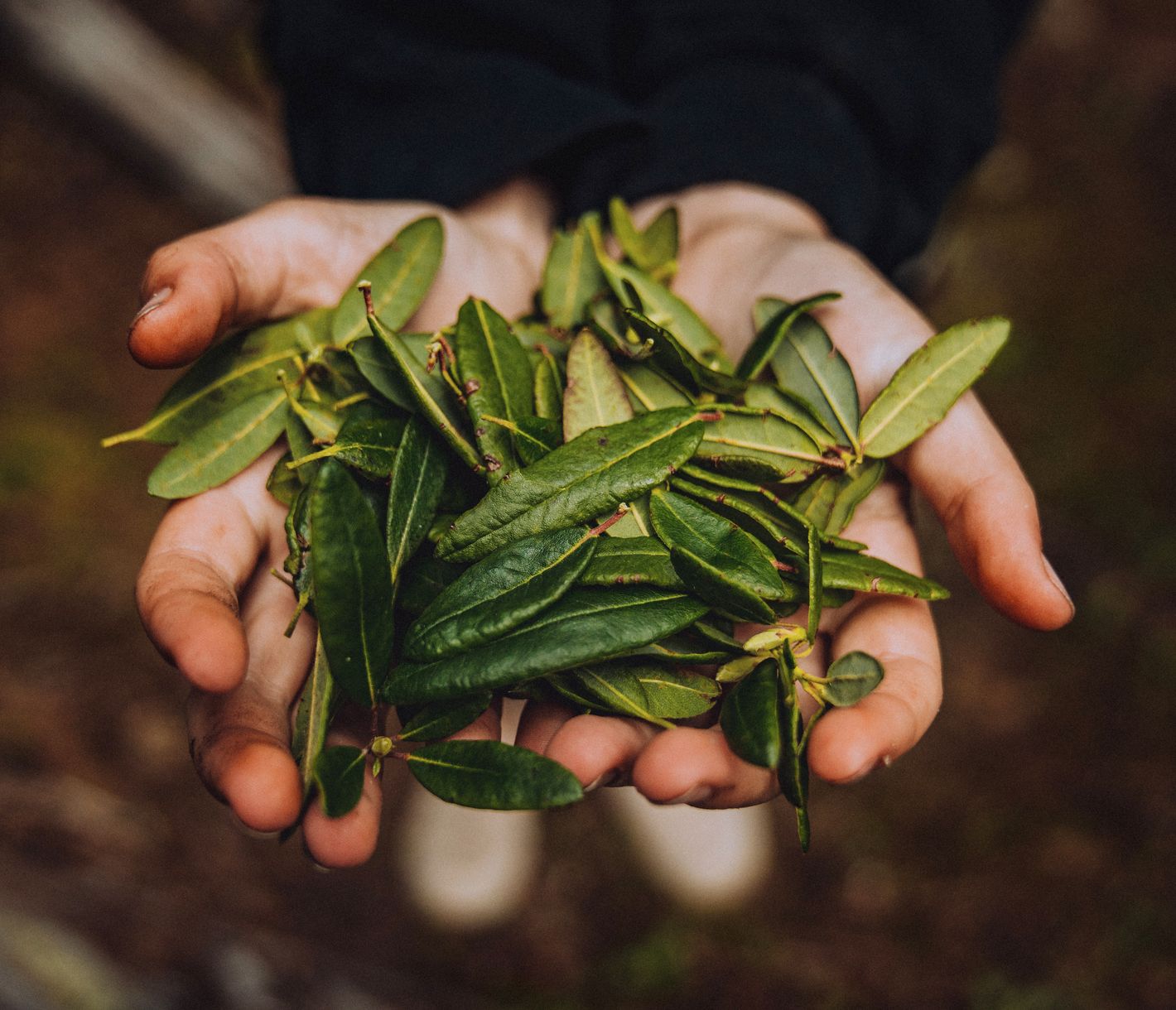 Schätze aus der Natur