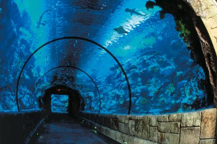 5. Bild der Unterkunft