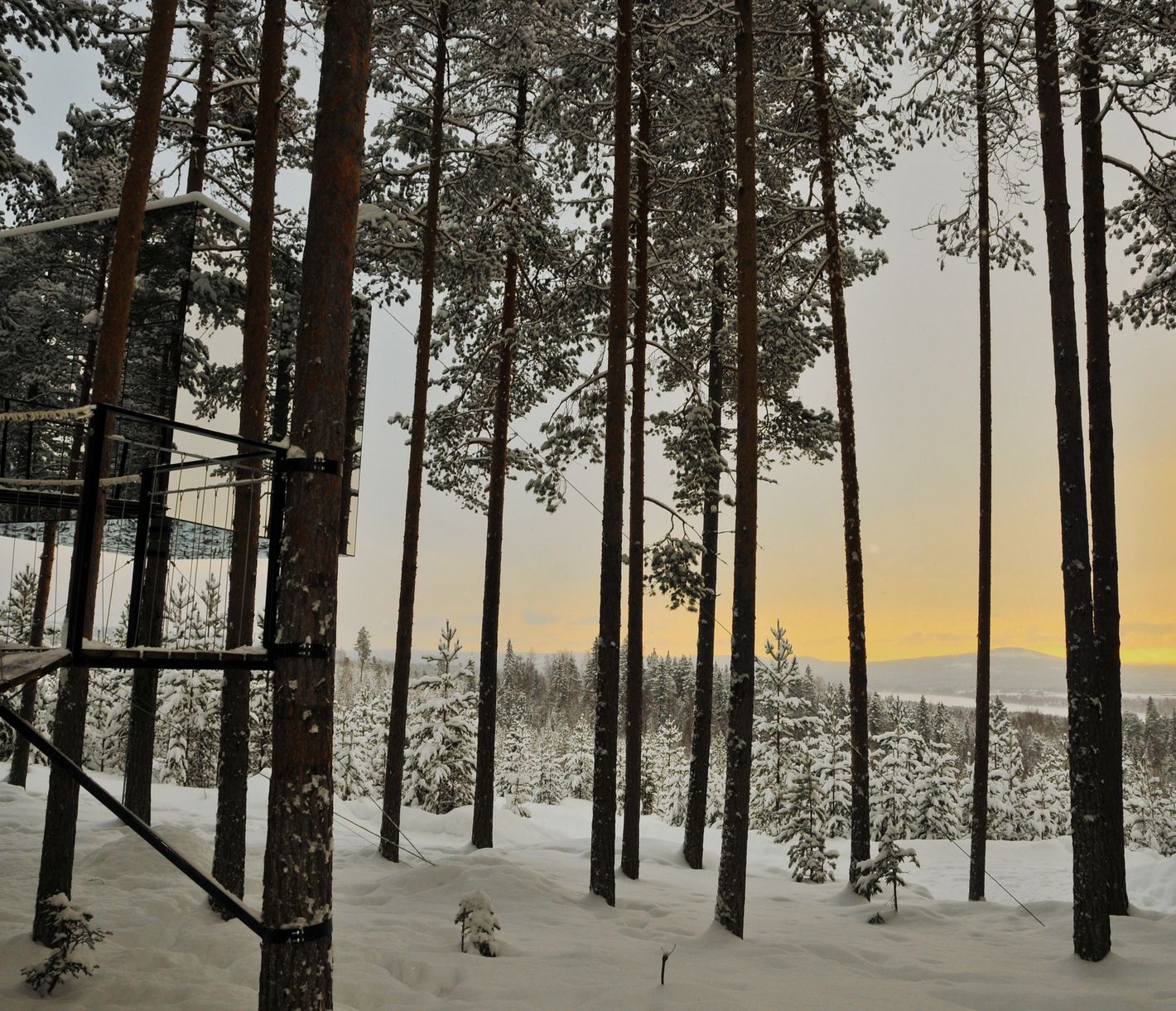 Ein Kindheitstraum - eine Übernachtung in einem Baumhaushotel